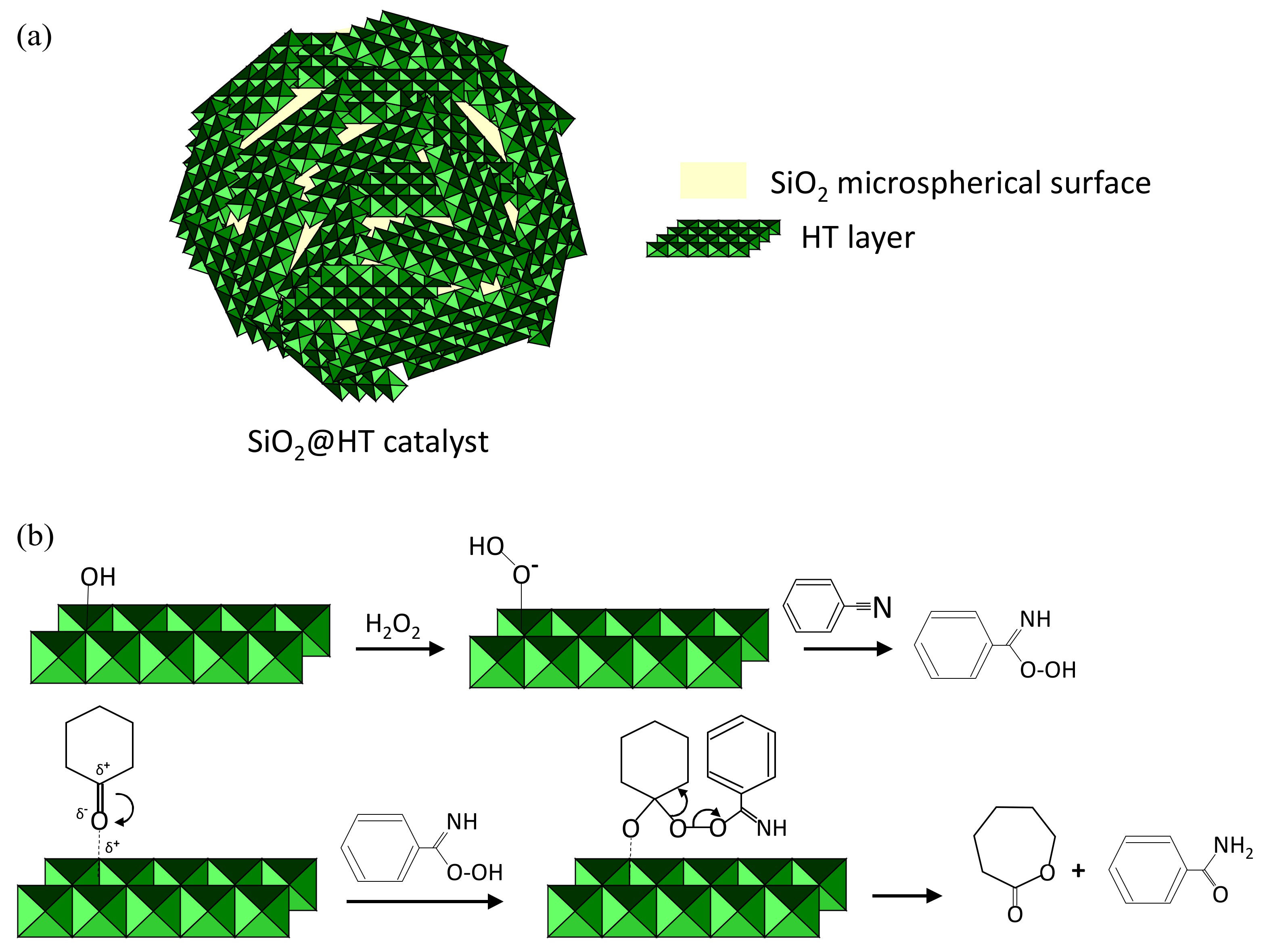 Catalysts 12 00629 sch002