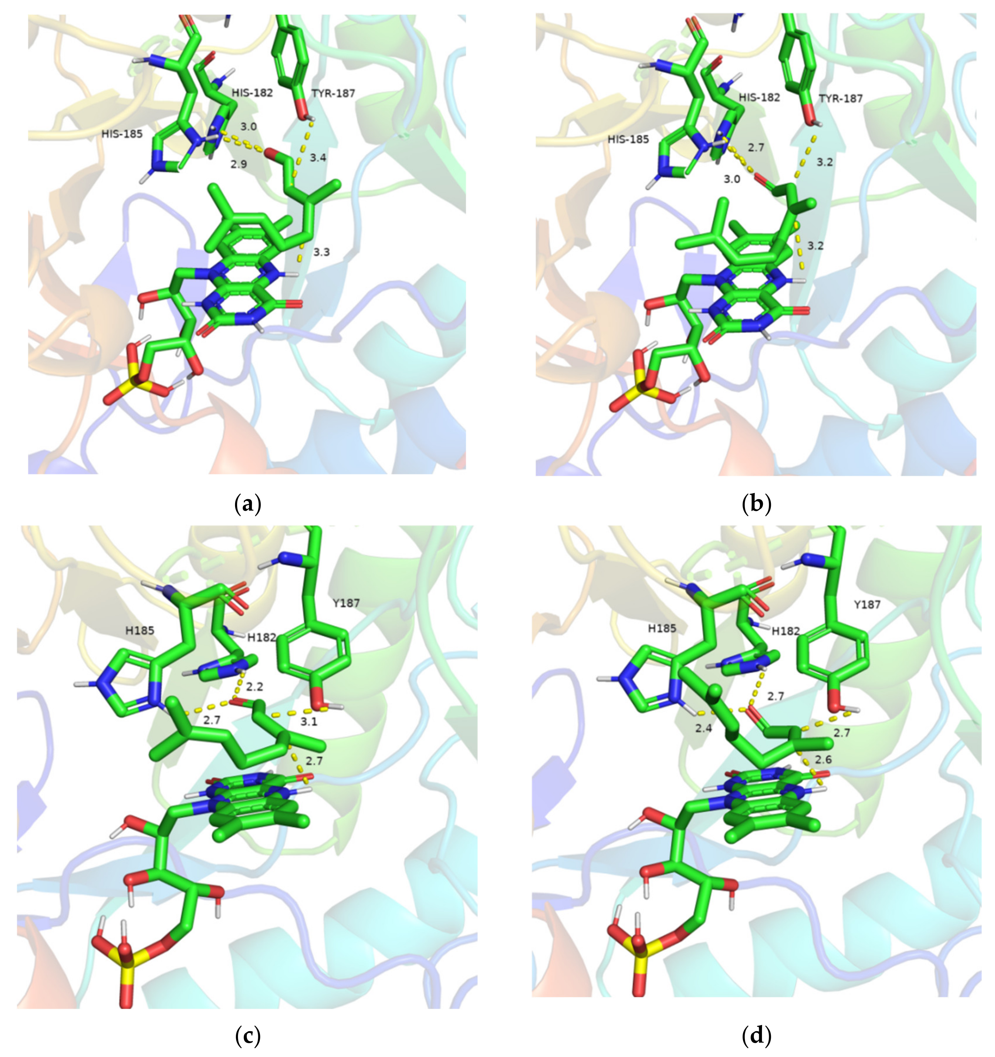 Catalysts 12 00631 g004