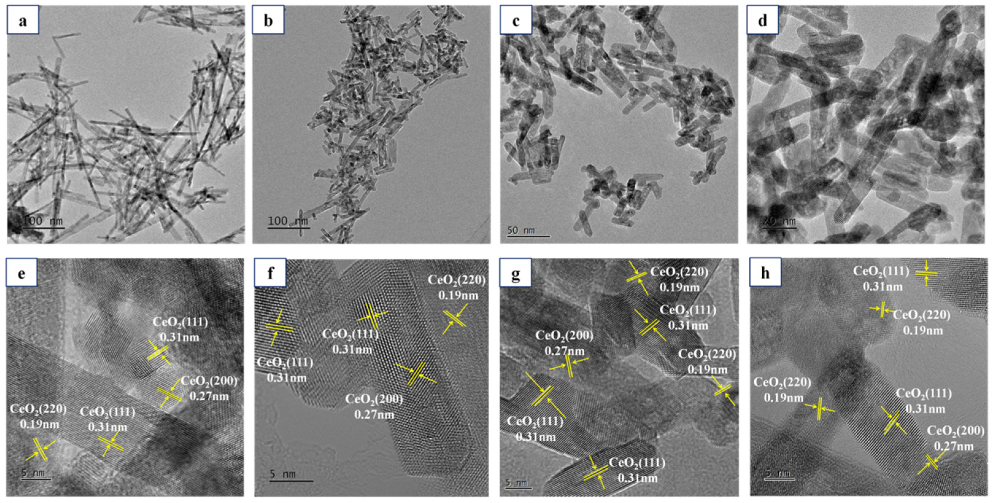 Catalysts 12 00632 g002