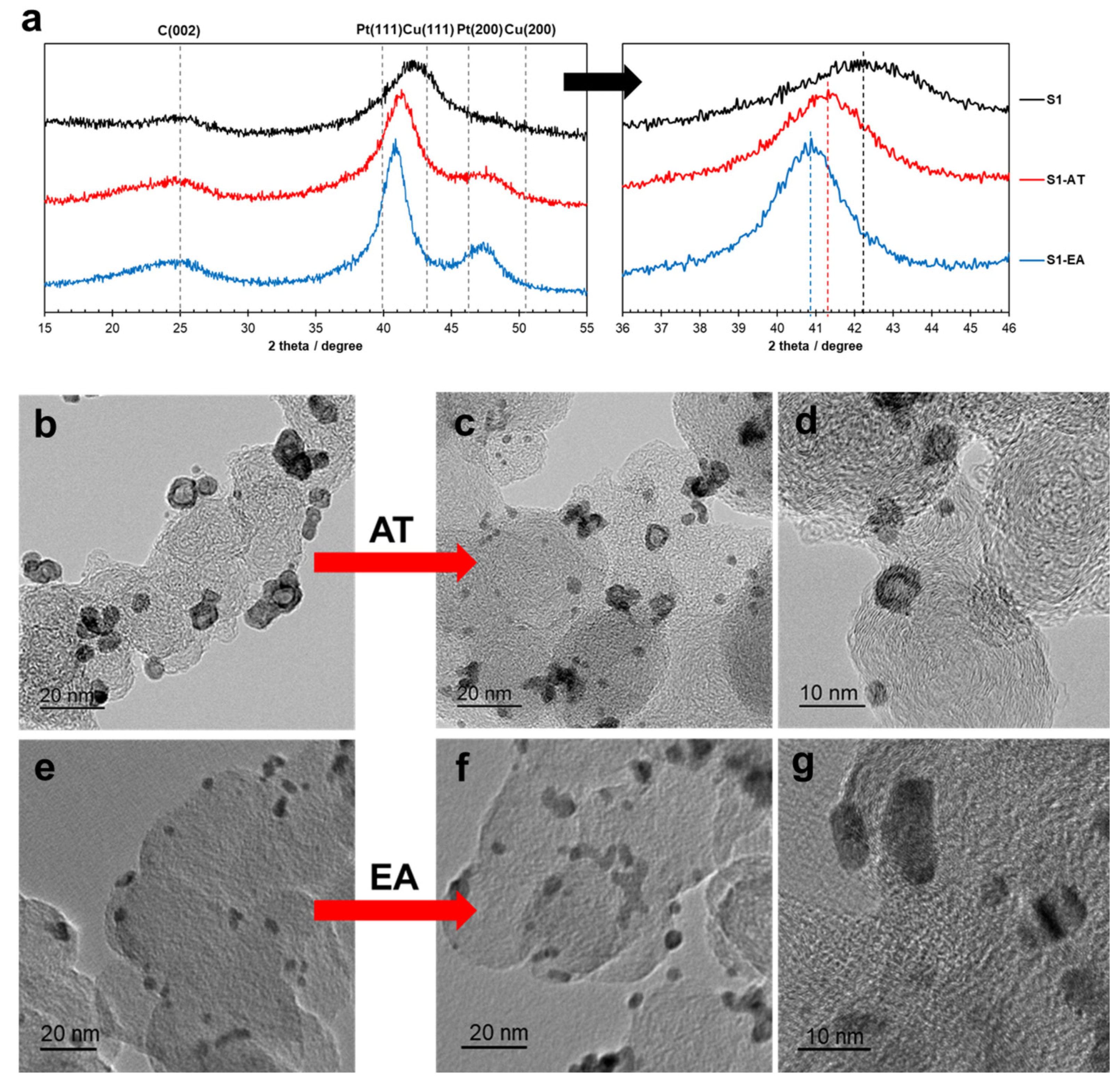 Catalysts 12 00638 g003