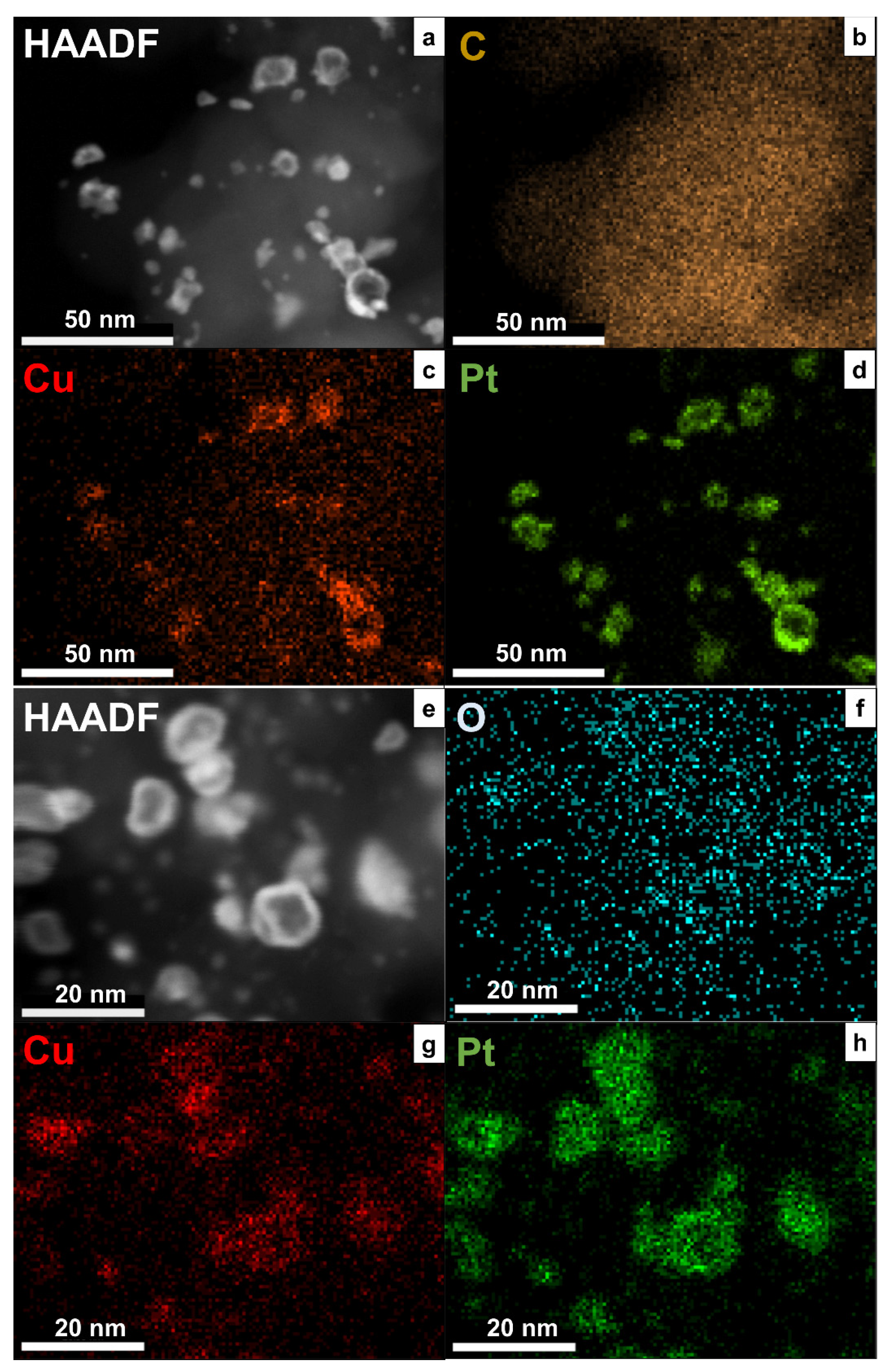 Catalysts 12 00638 g004
