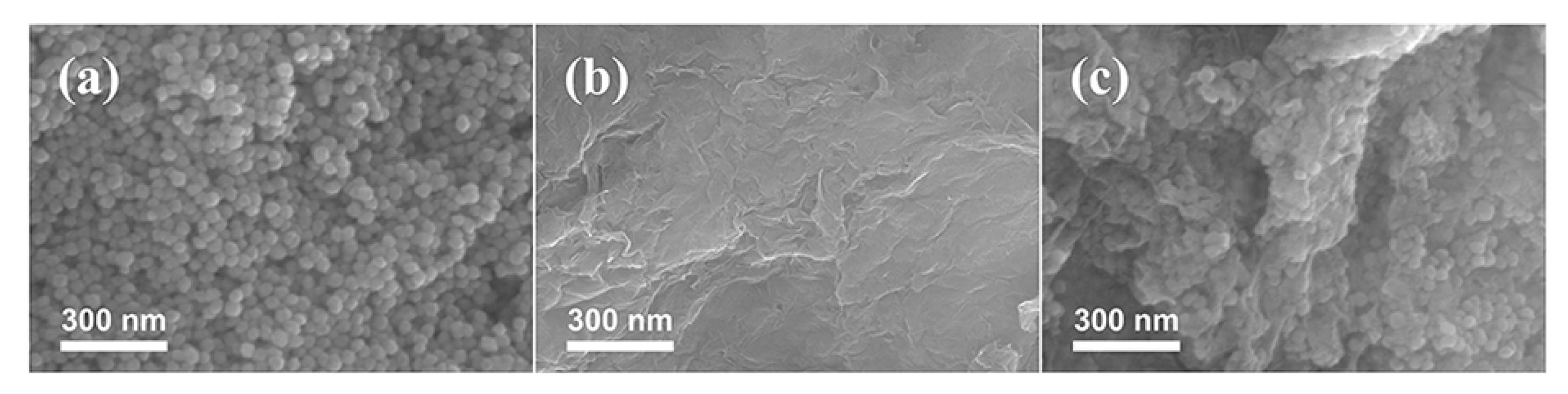 Catalysts 12 00645 g002