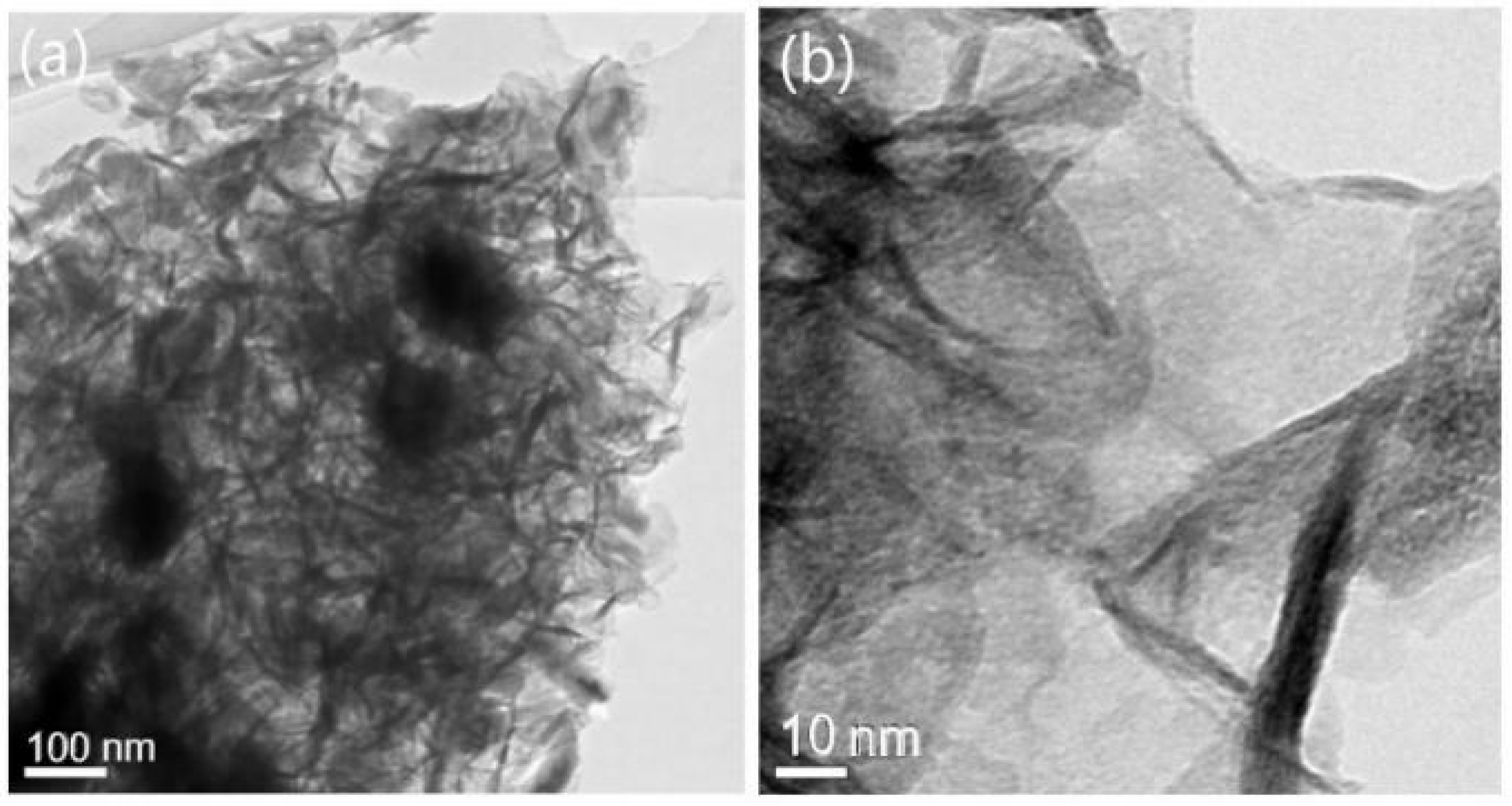Catalysts 12 00646 g003 550