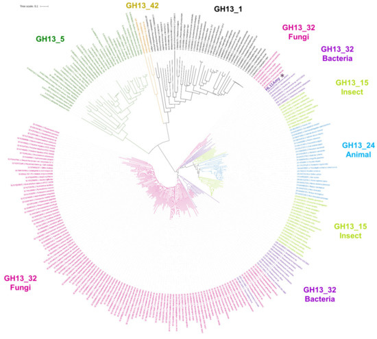 Catalysts Free FullText Functional Characterization of