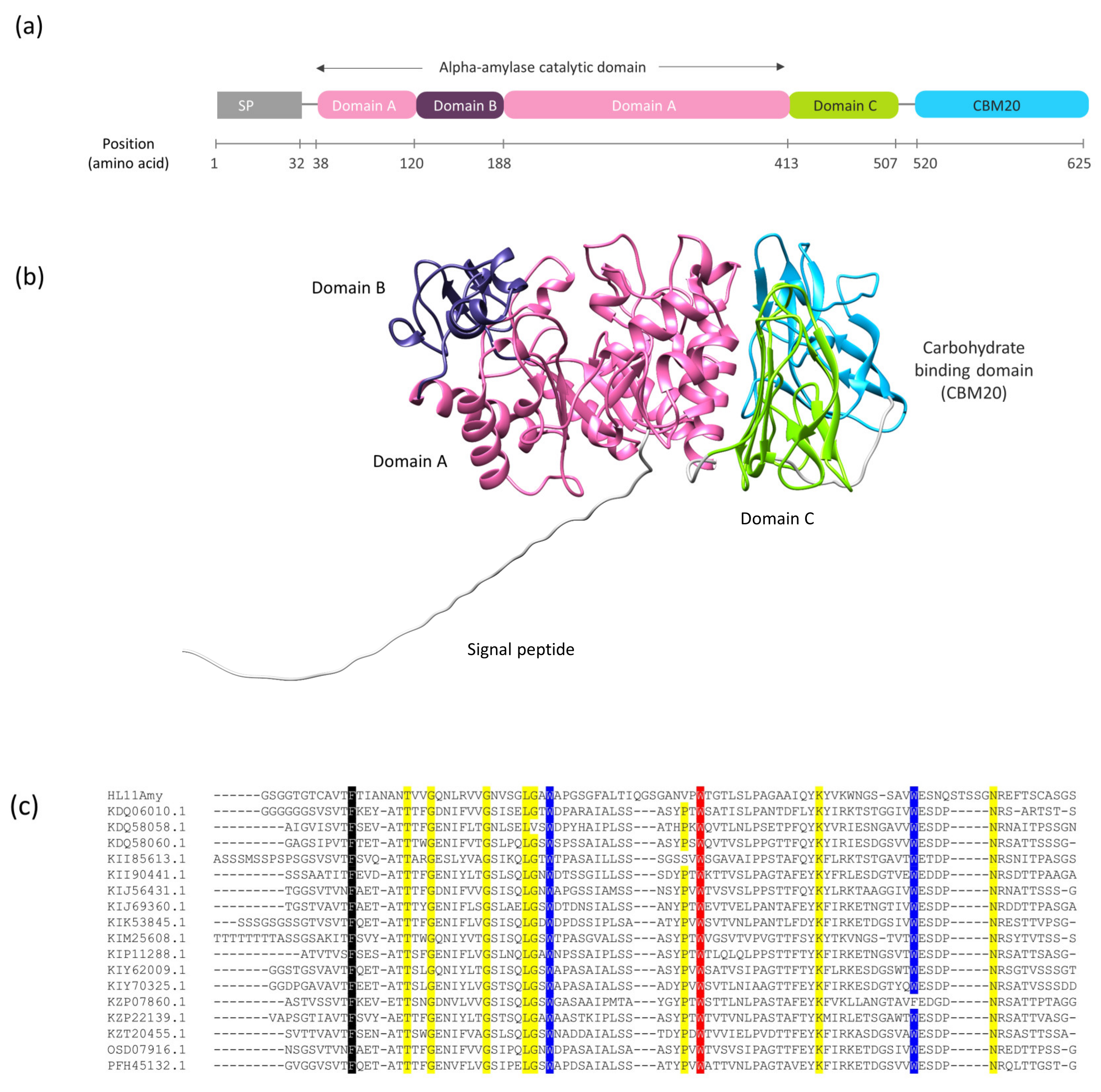 Catalysts 12 00647 g002