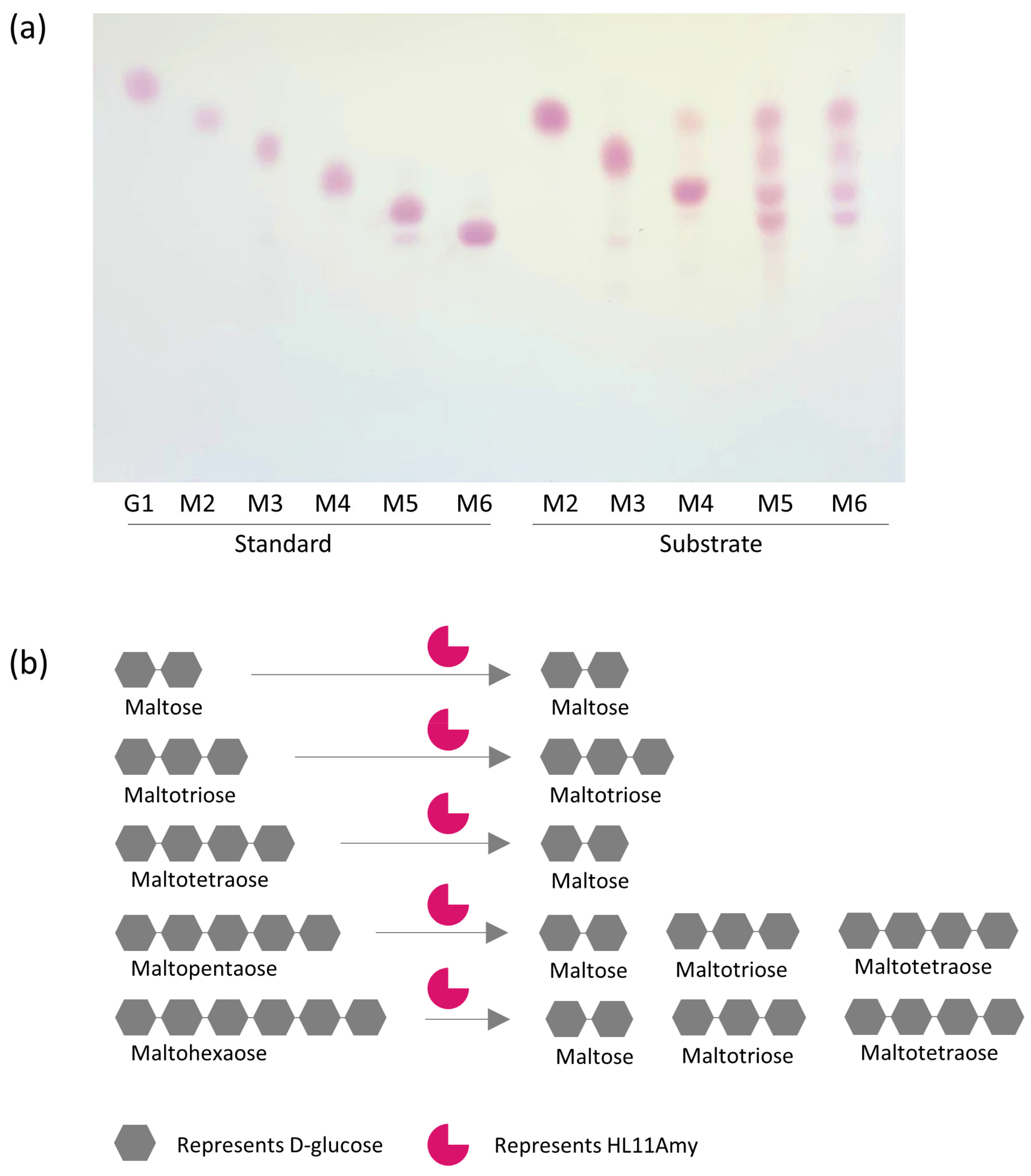 Catalysts 12 00647 g006