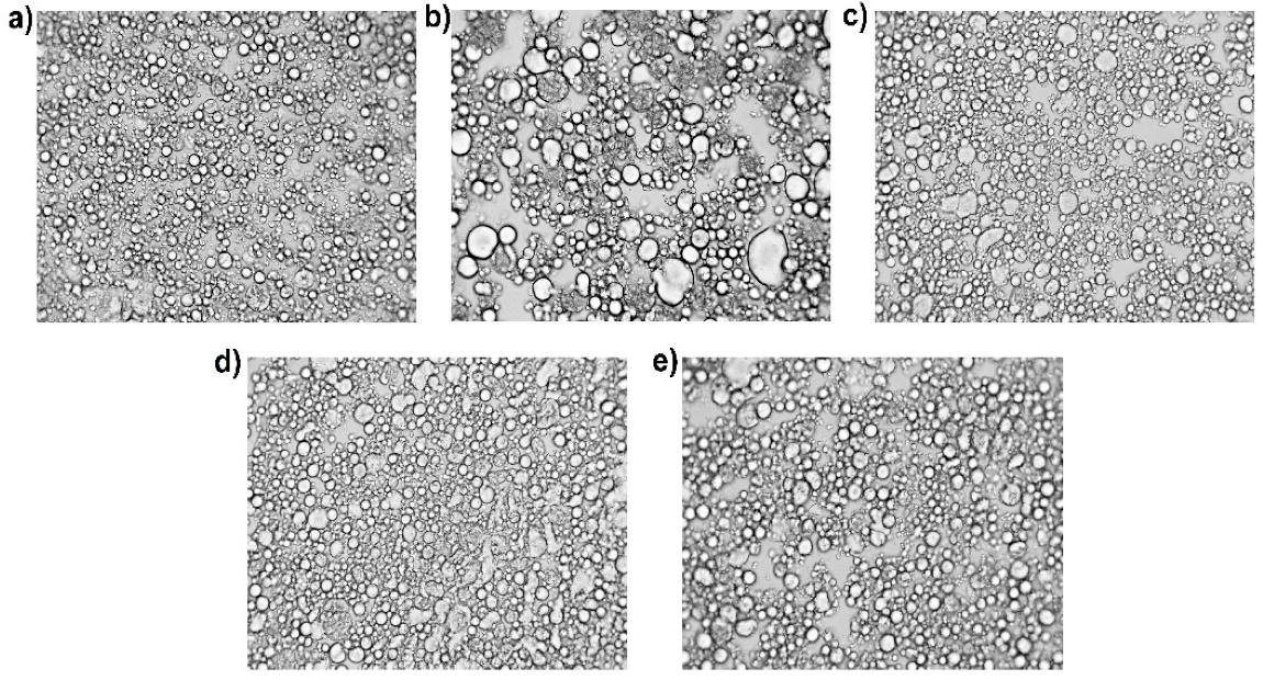 Catalysts 12 00649 g002