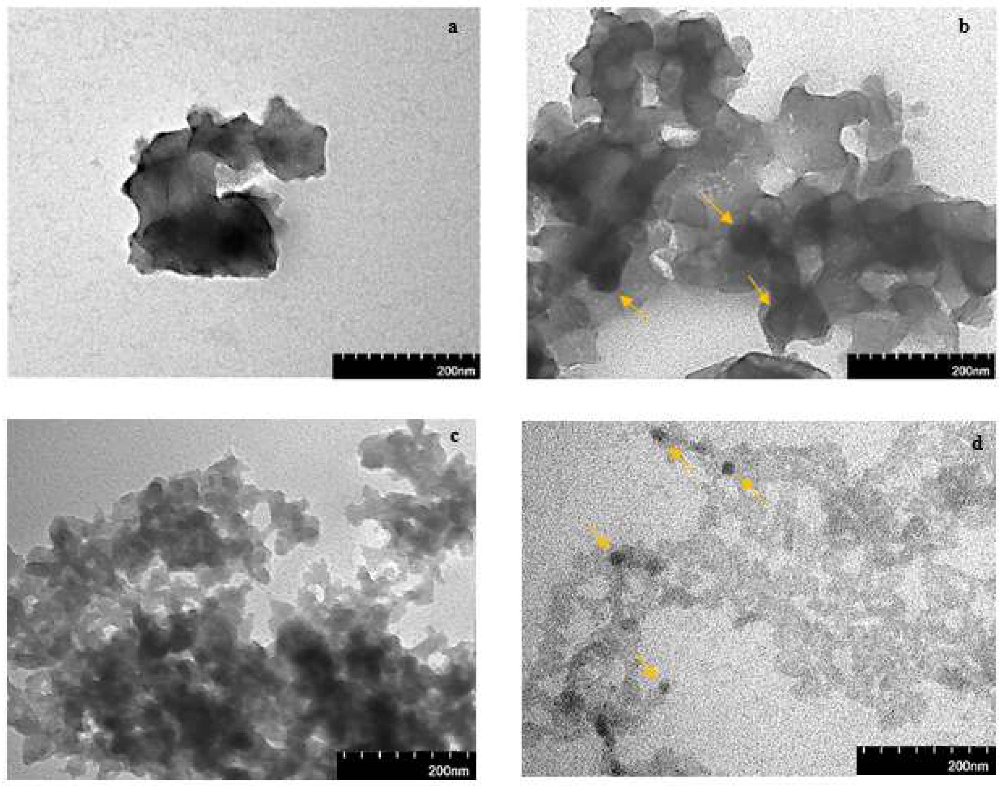 Catalysts 12 00658 g005 550