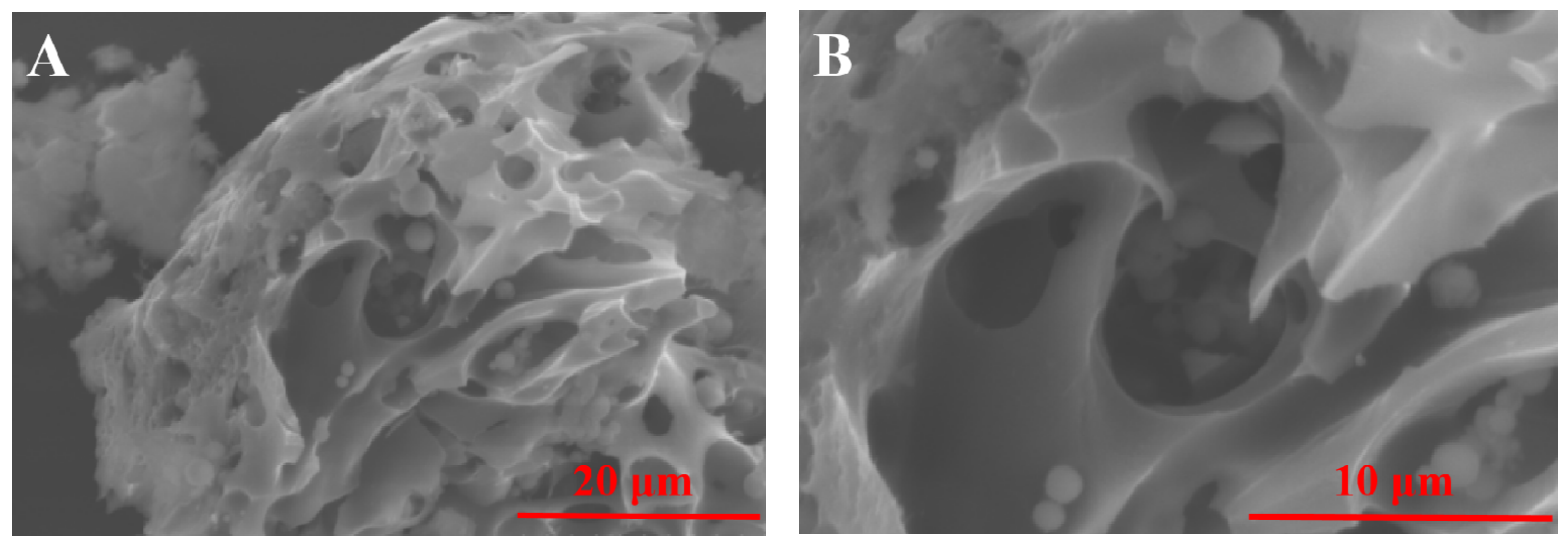 Catalysts 12 00662 g002 550