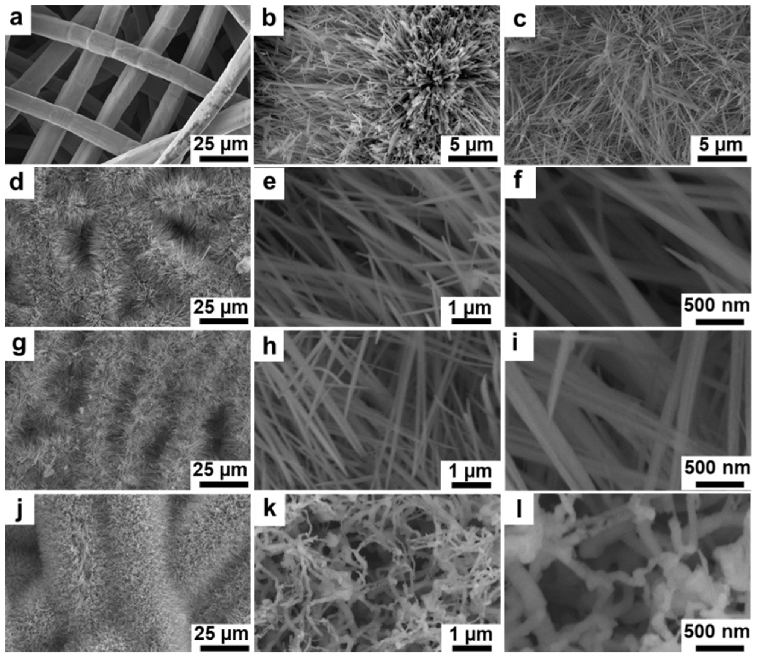 Catalysts 12 00663 g001