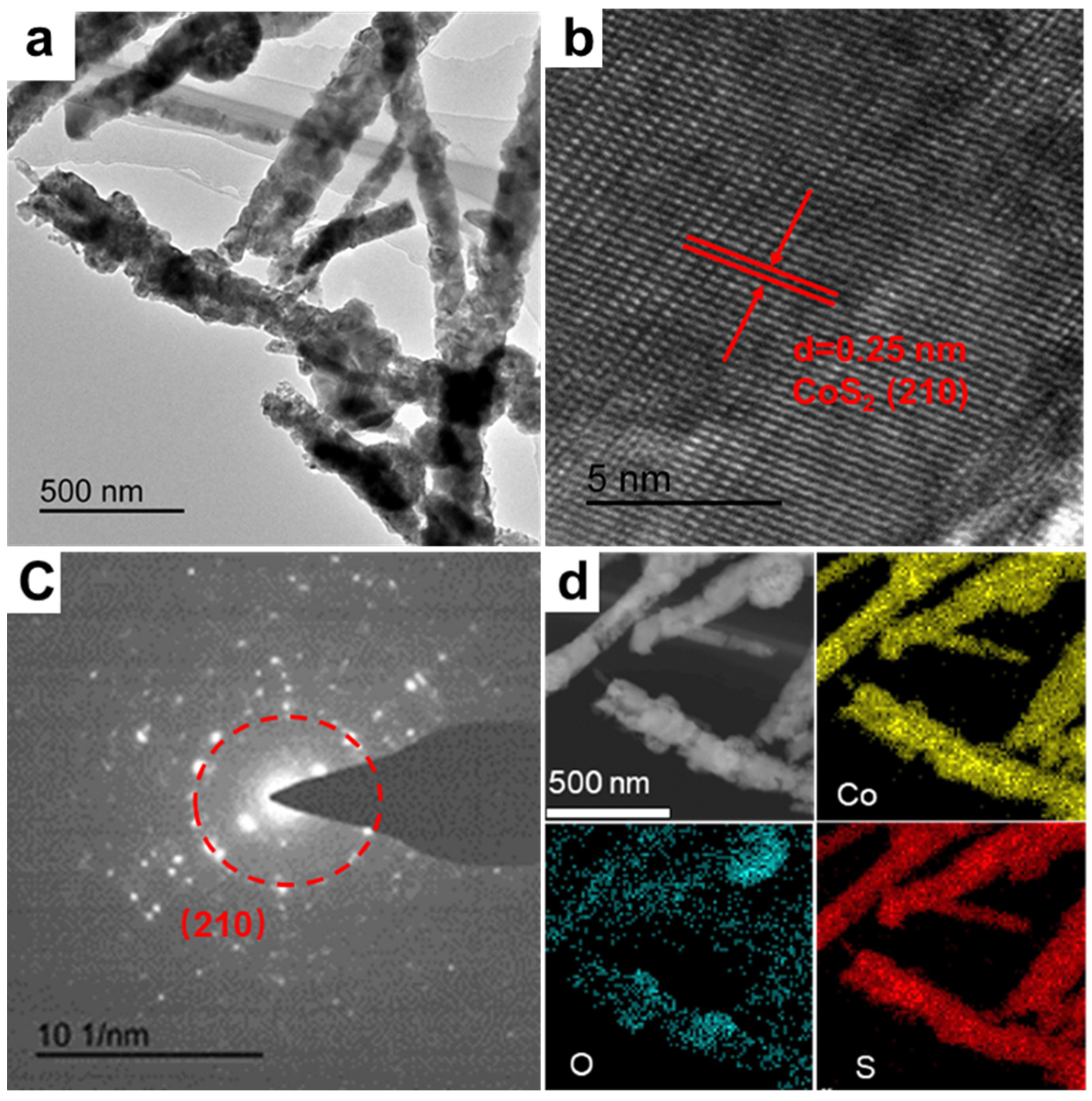 Catalysts 12 00663 g003