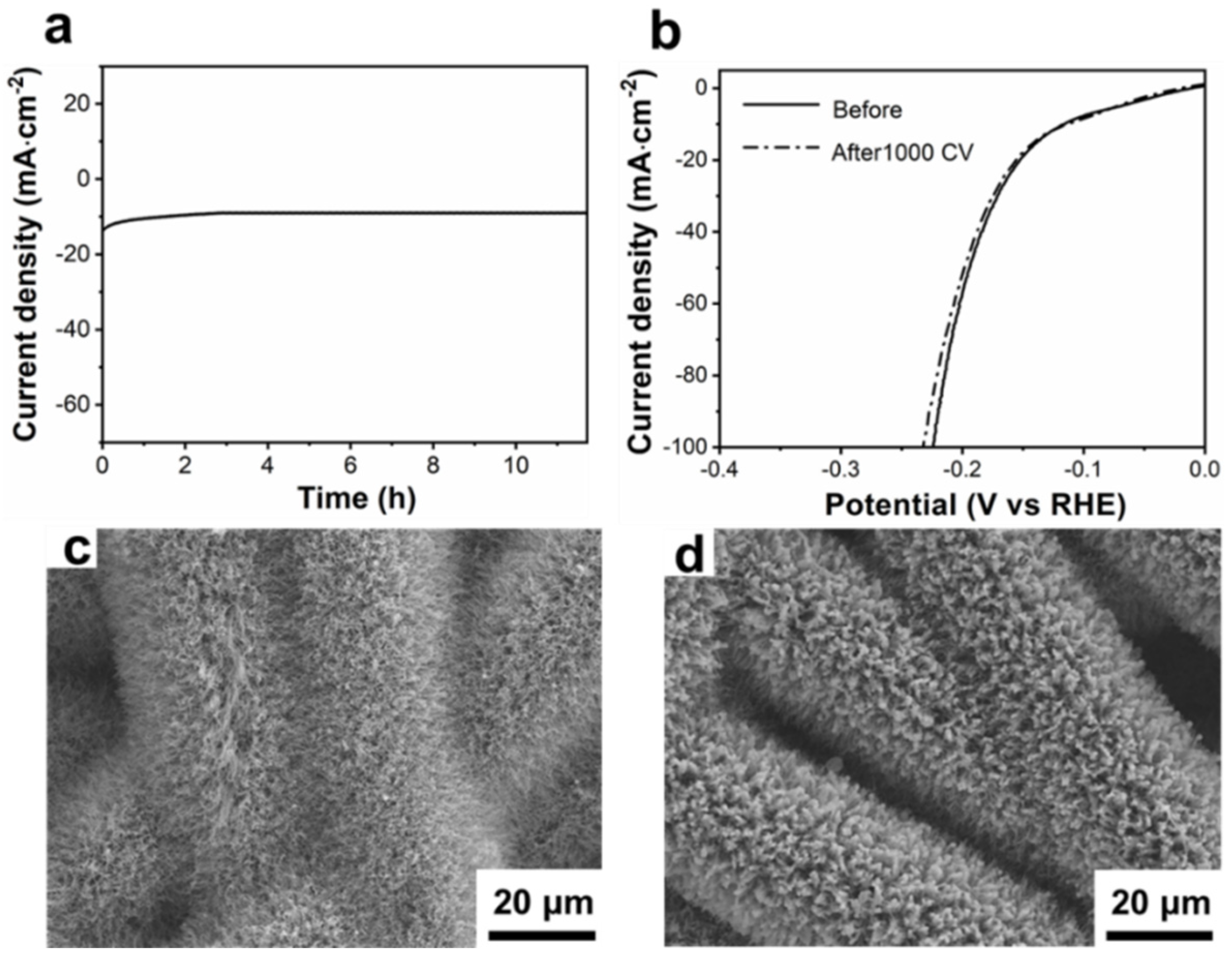 Catalysts 12 00663 g005
