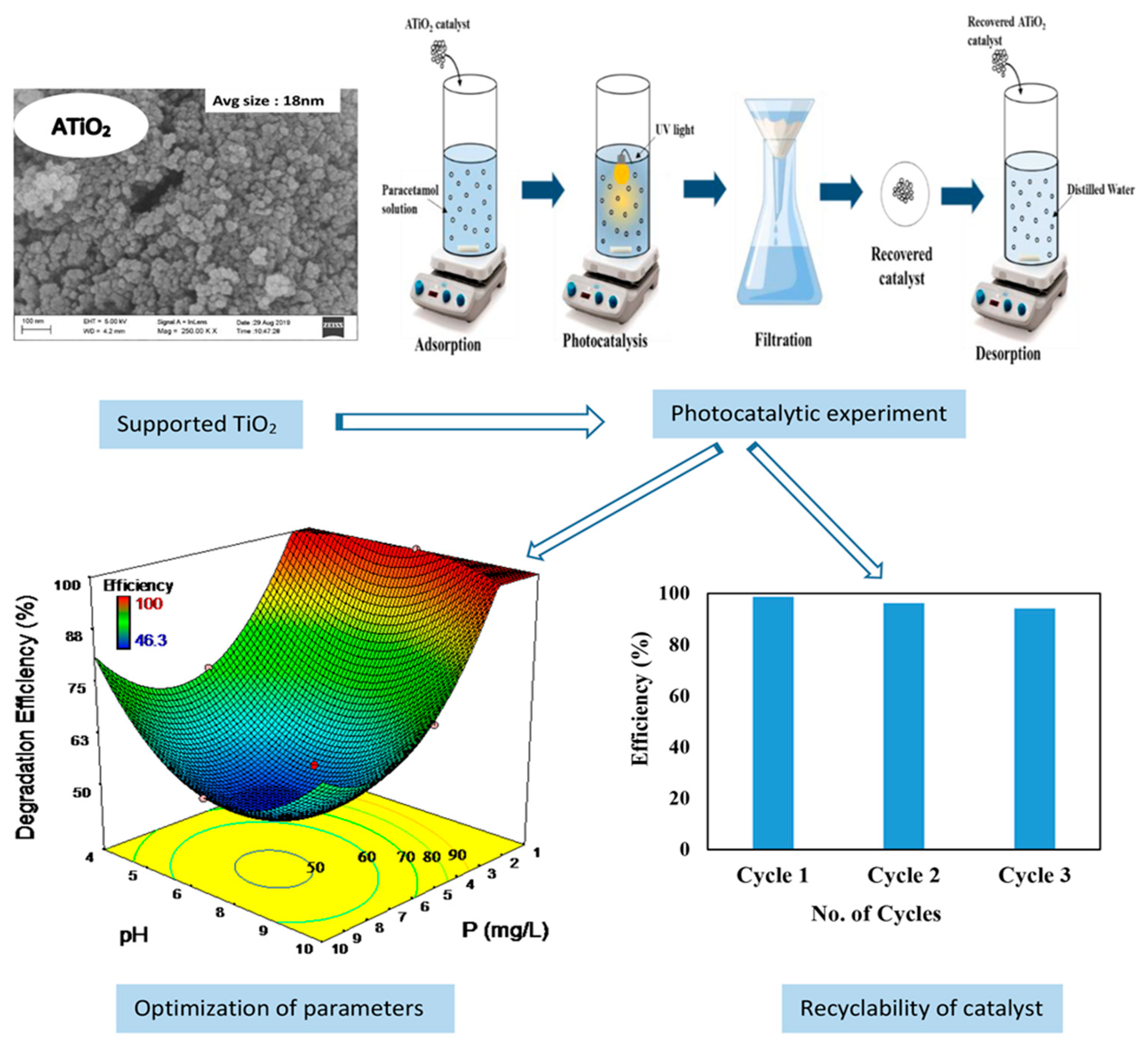 Catalysts 12 00667 g001