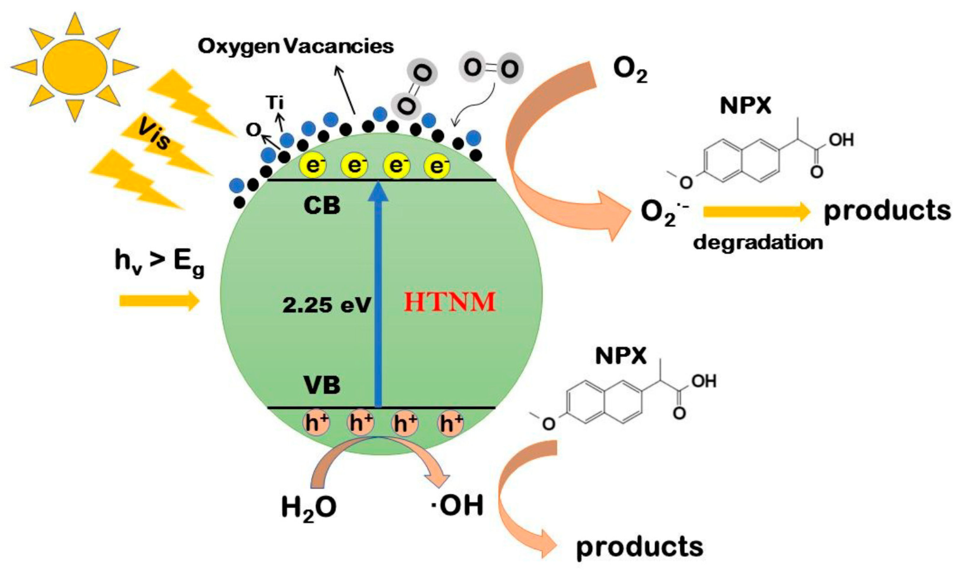 Catalysts 12 00667 g003