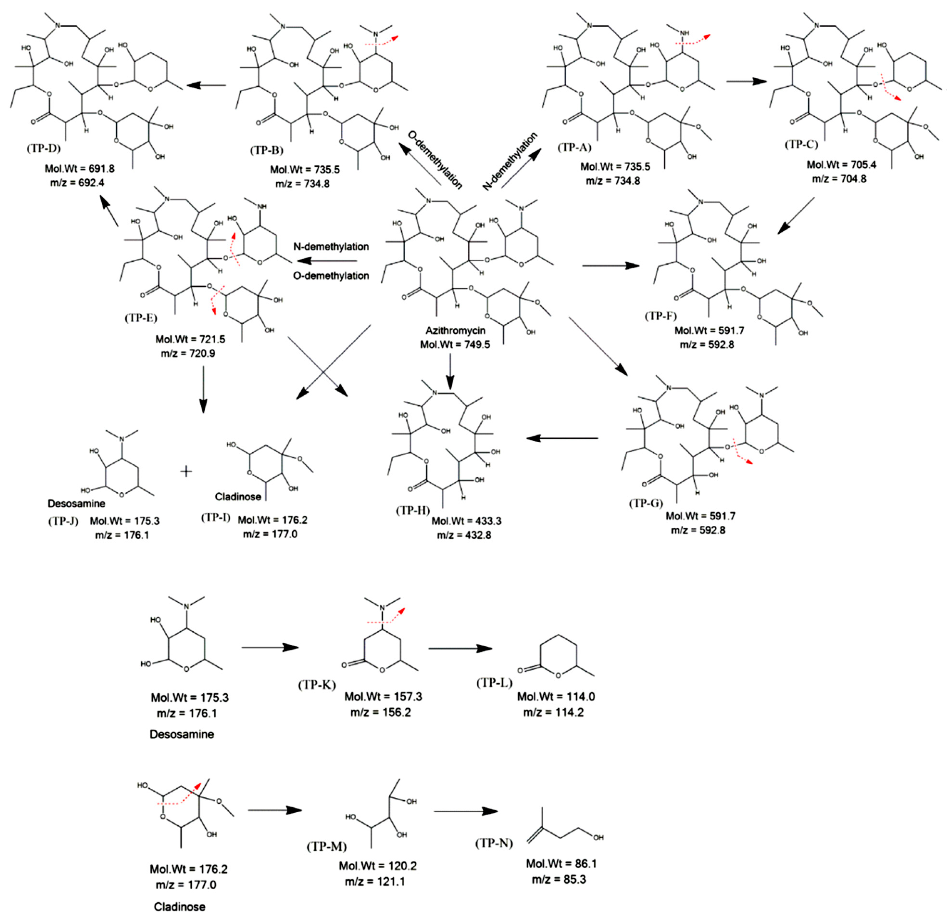 Catalysts 12 00667 g004