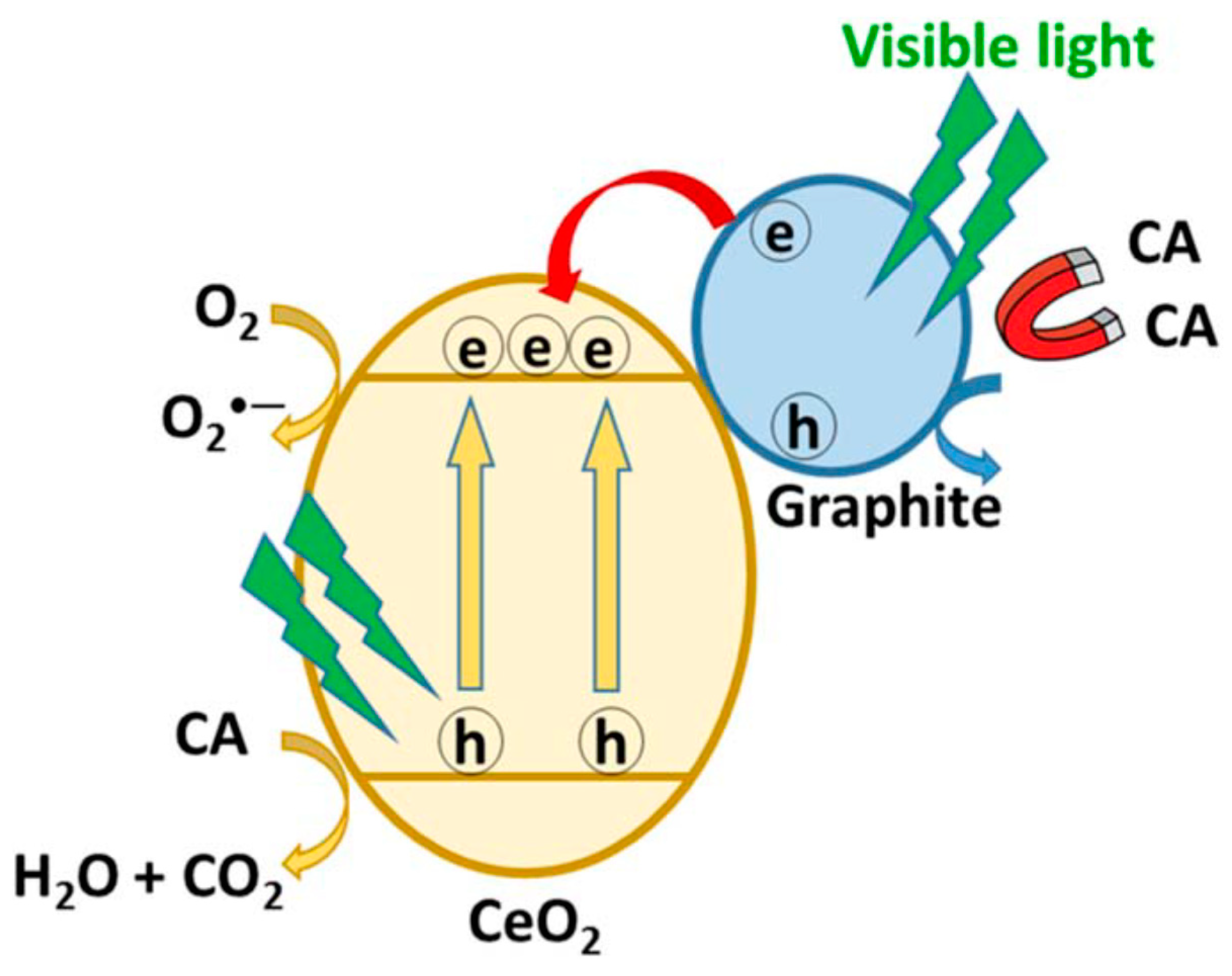 Catalysts 12 00667 g007