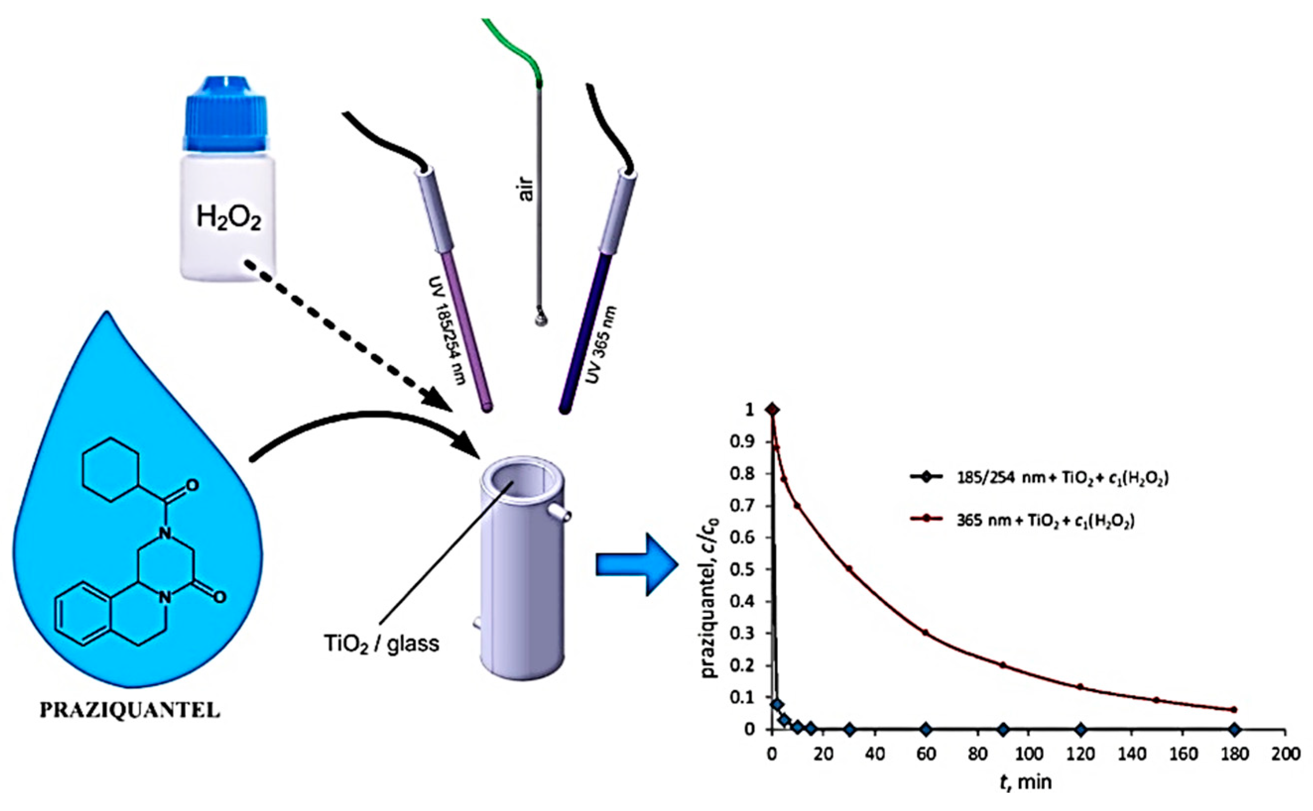 Catalysts 12 00667 g008