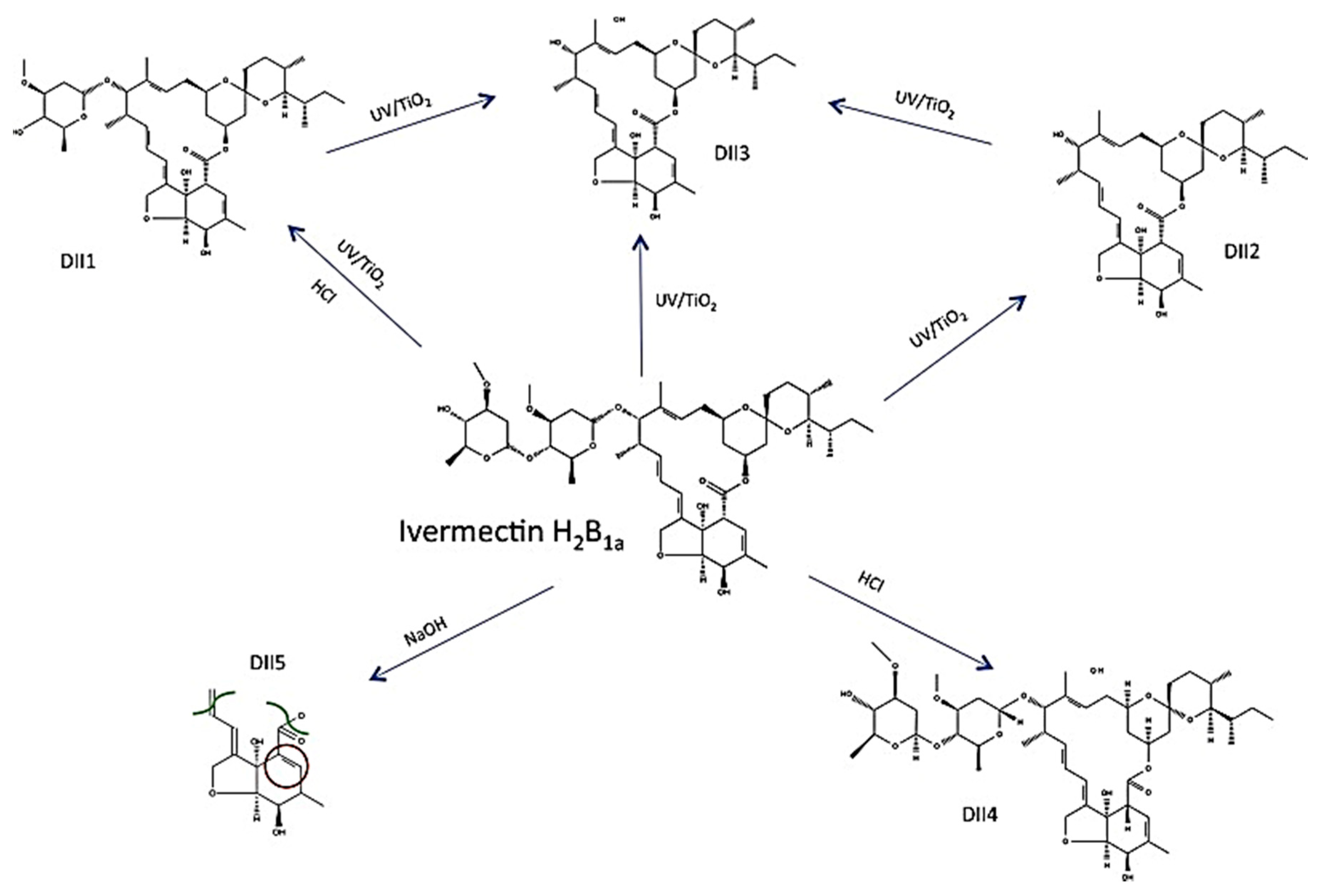 Catalysts 12 00667 g009