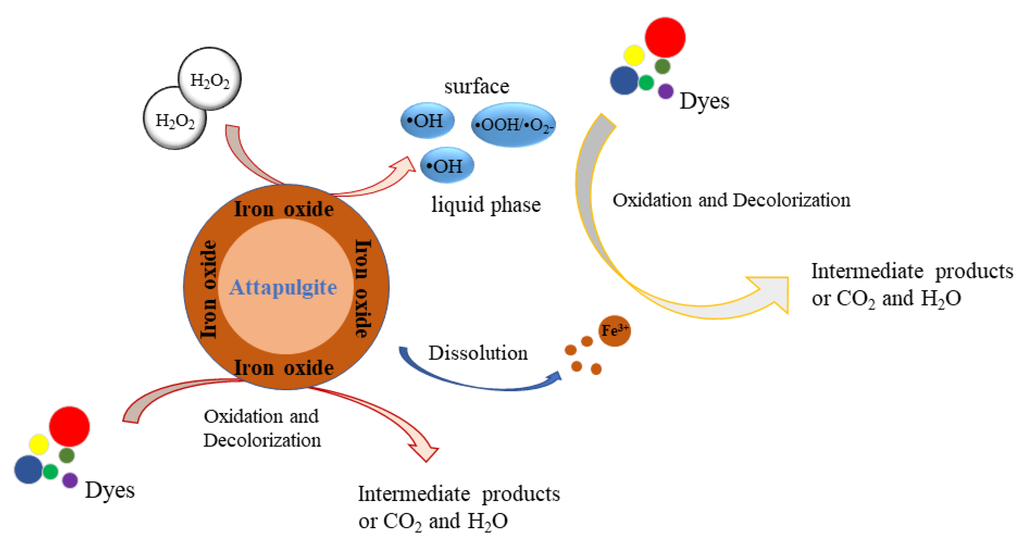 Catalysts 12 00669 g012
