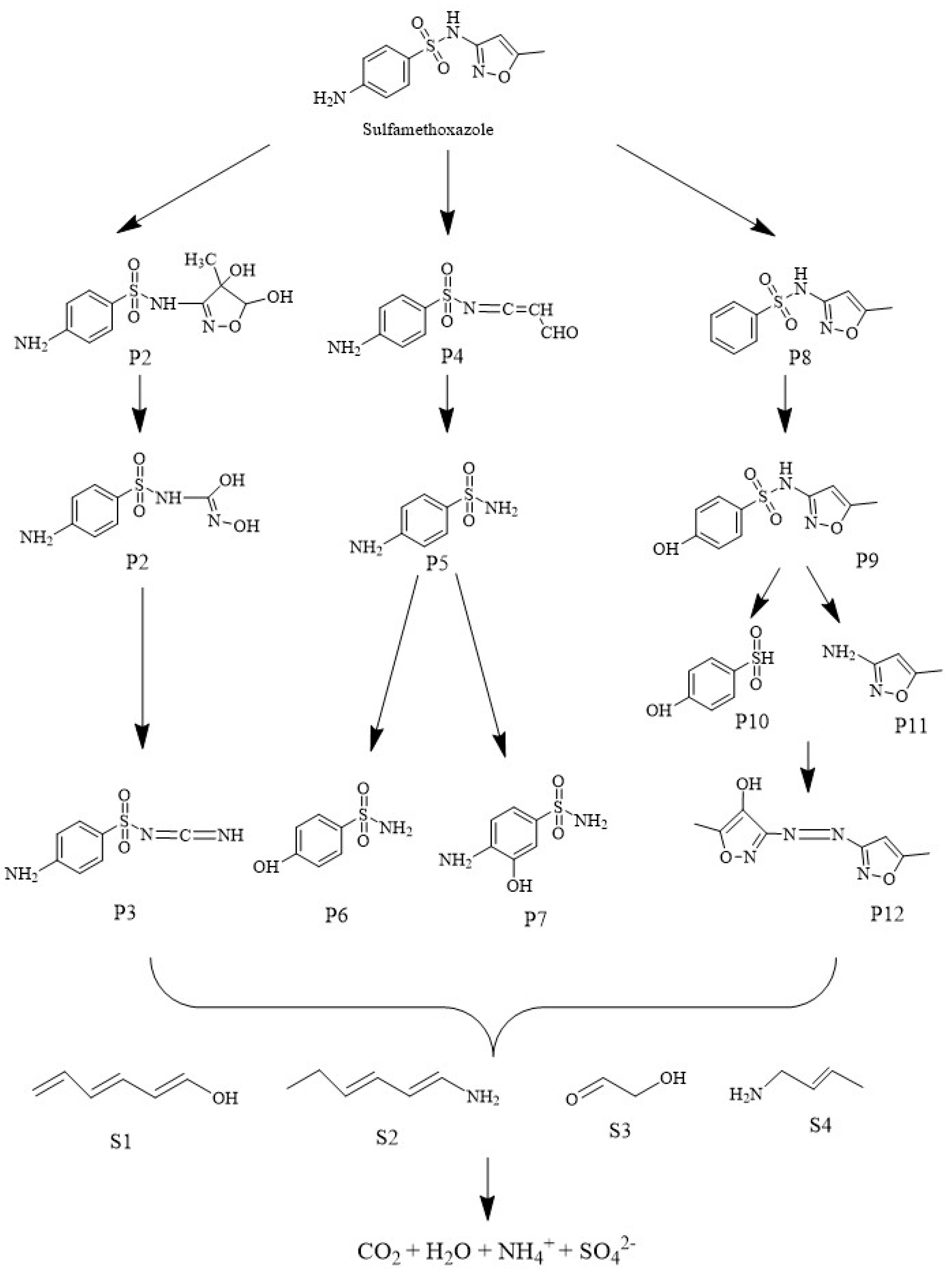 Catalysts 12 00671 g010 550