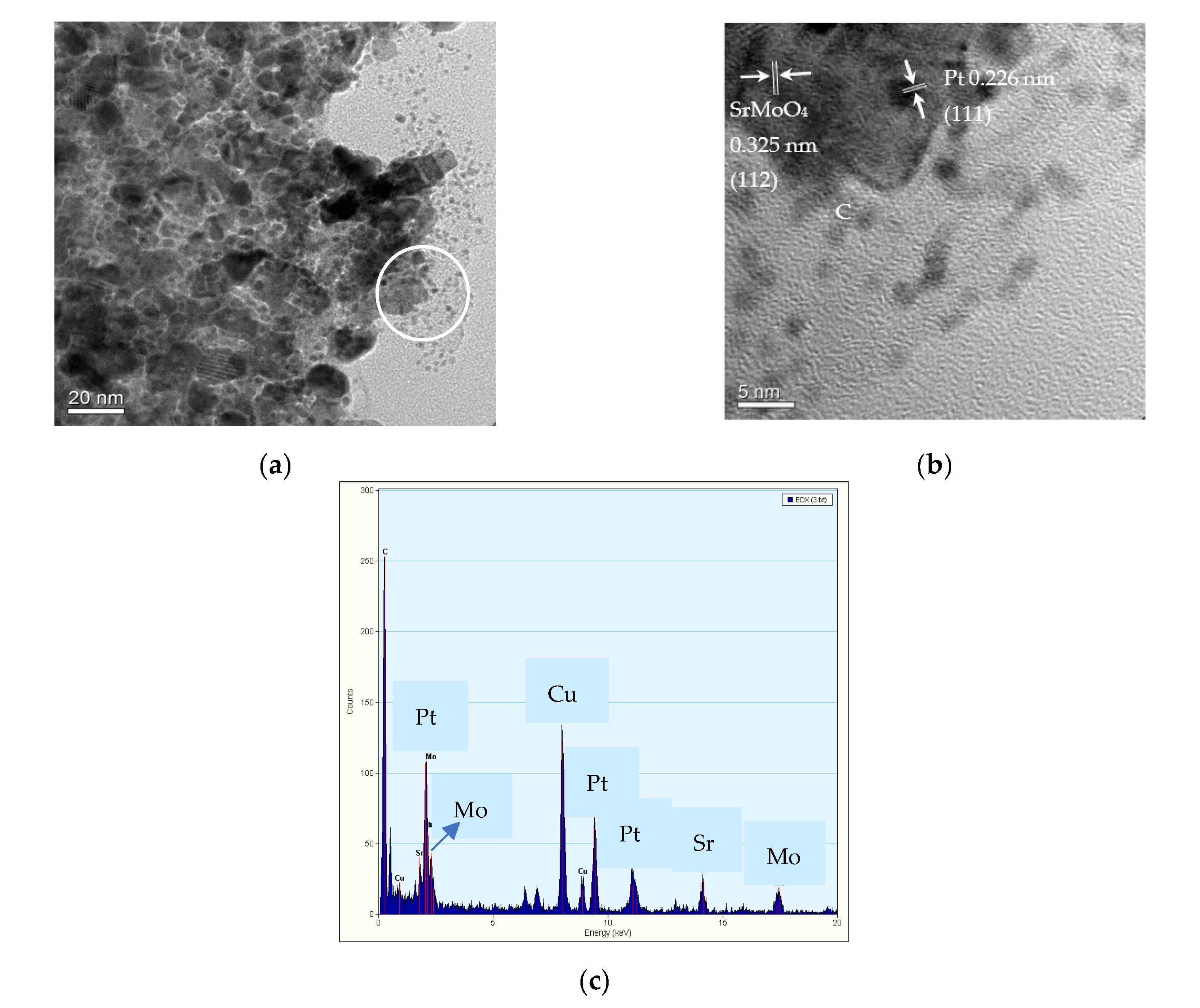 Catalysts 12 00676 g004
