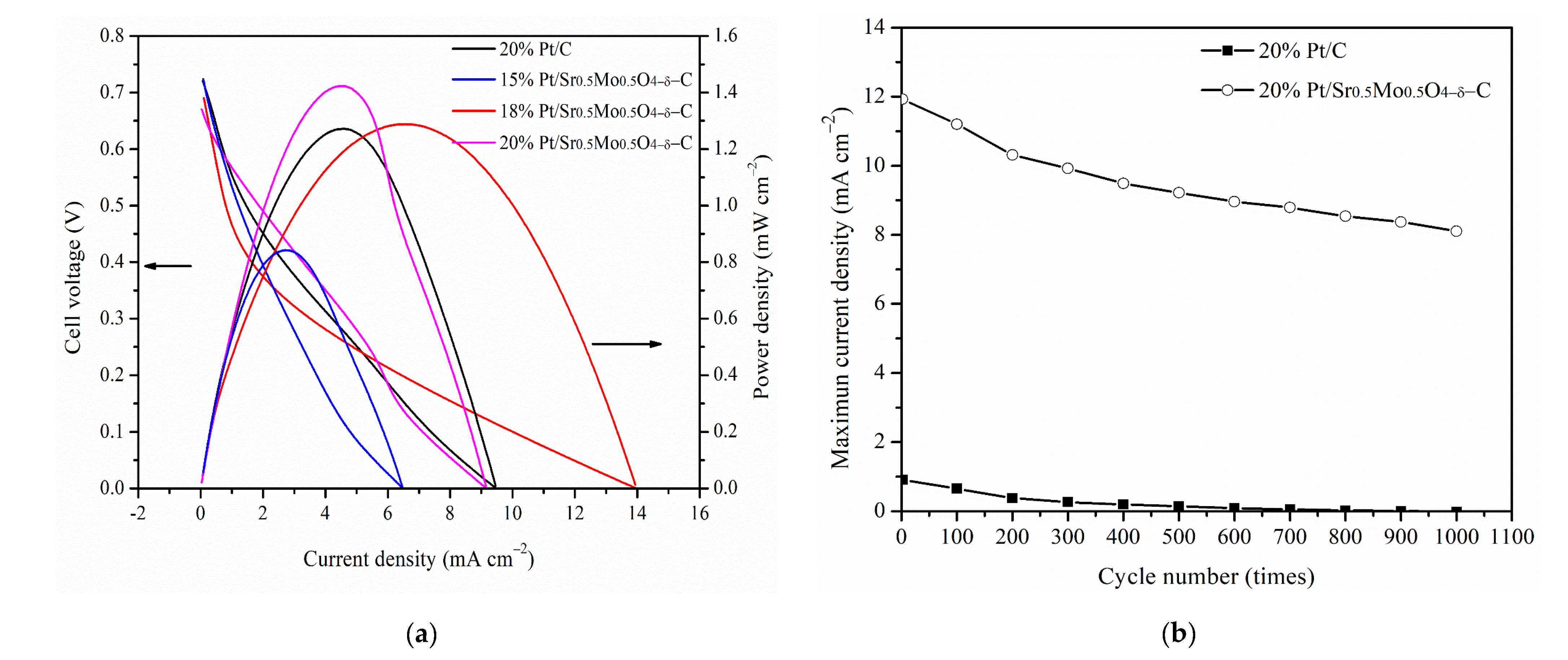 Catalysts 12 00676 g008