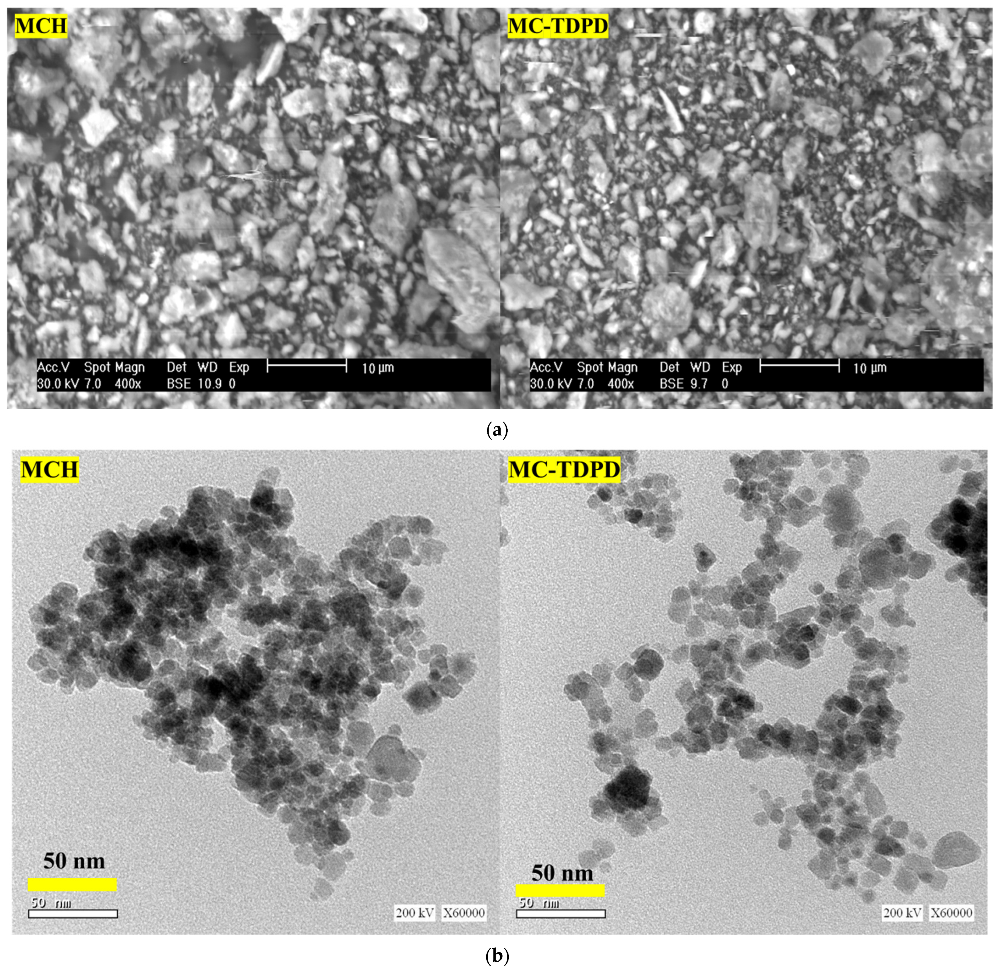 Catalysts 12 00678 g001 550
