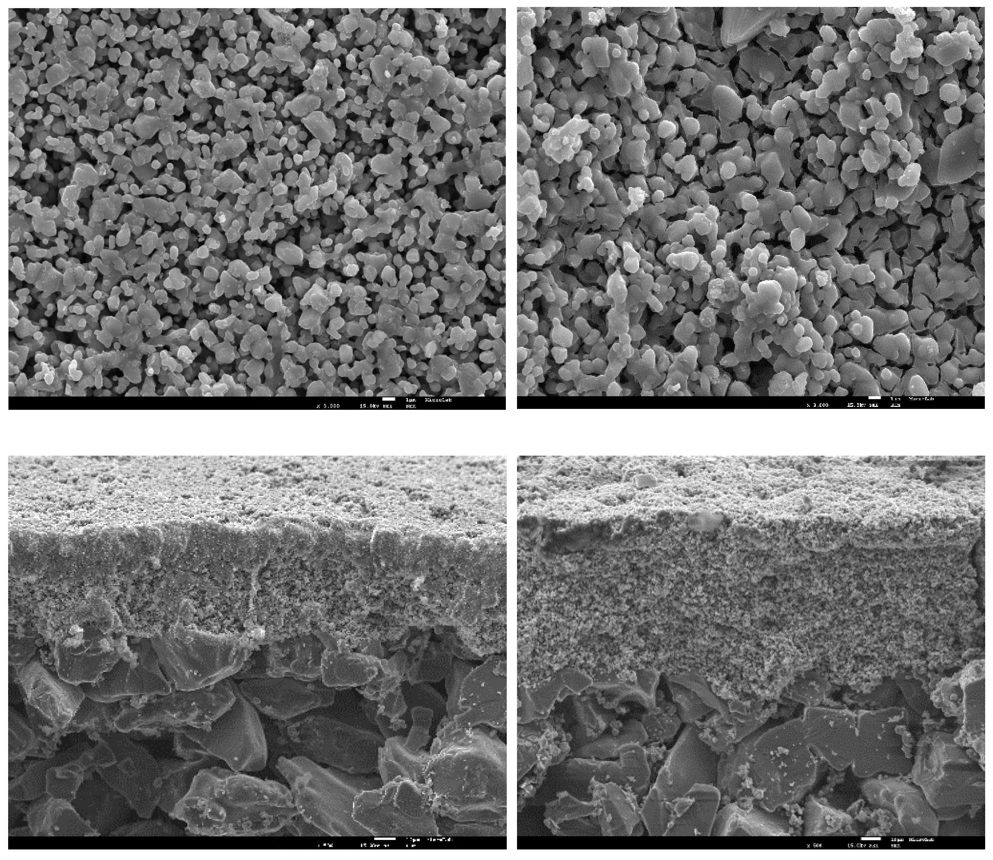 Catalysts 12 00680 g001