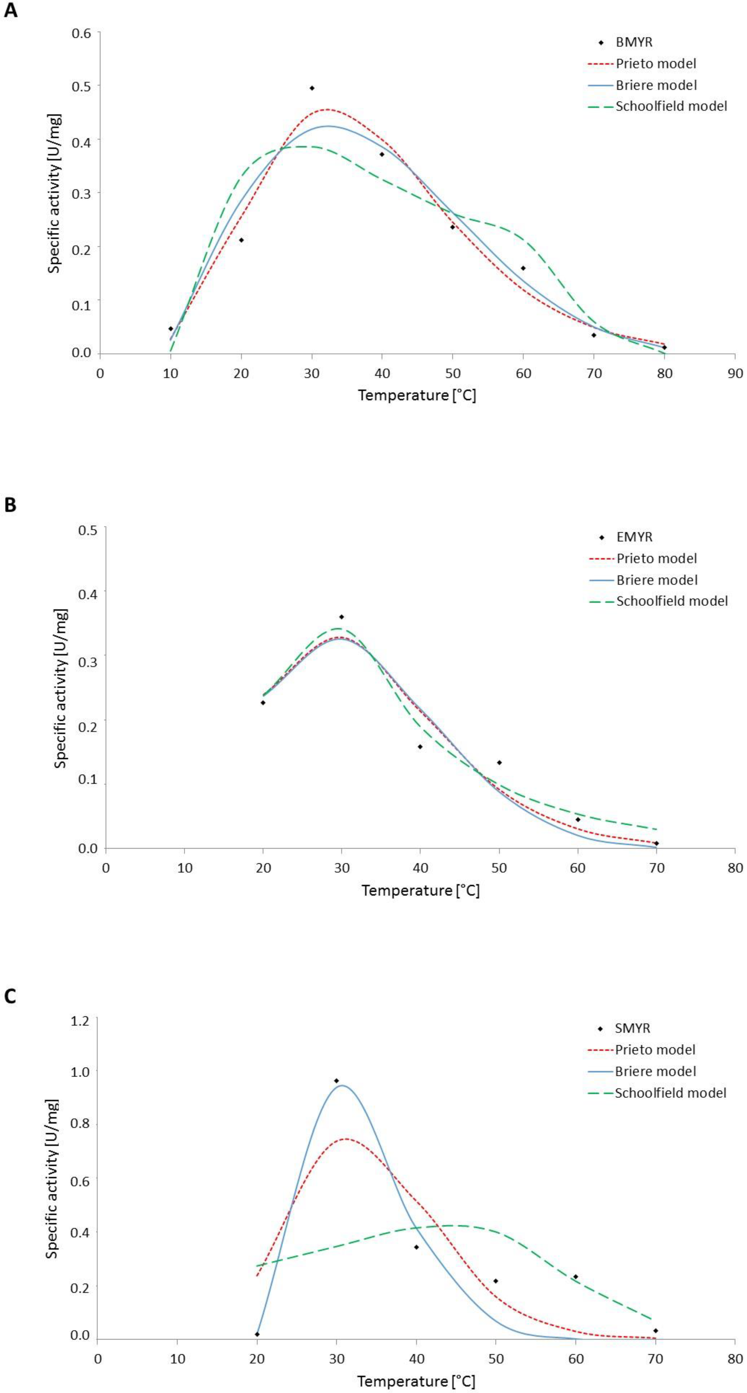 Catalysts 12 00683 g003