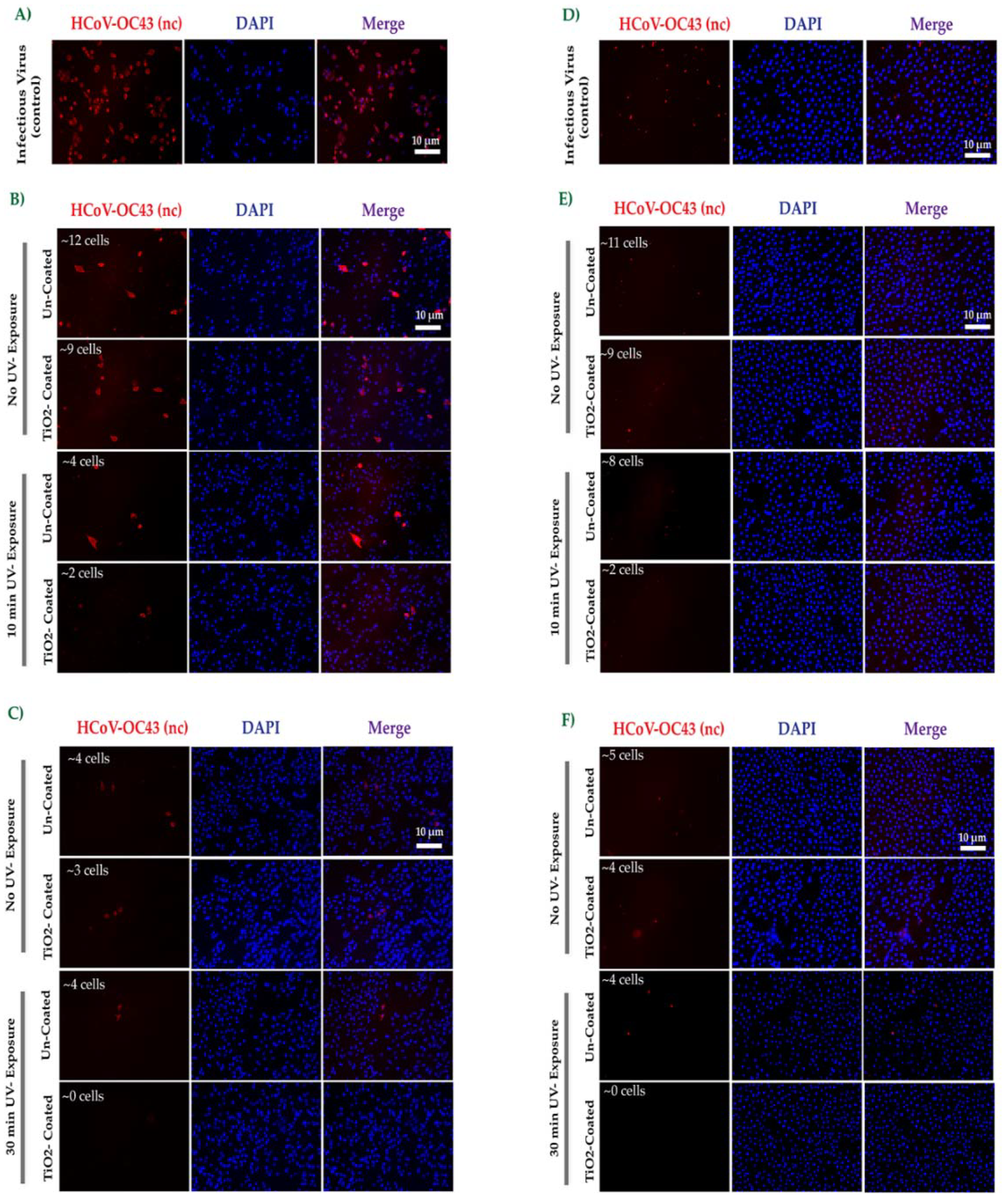 Catalysts 12 00690 g004 550
