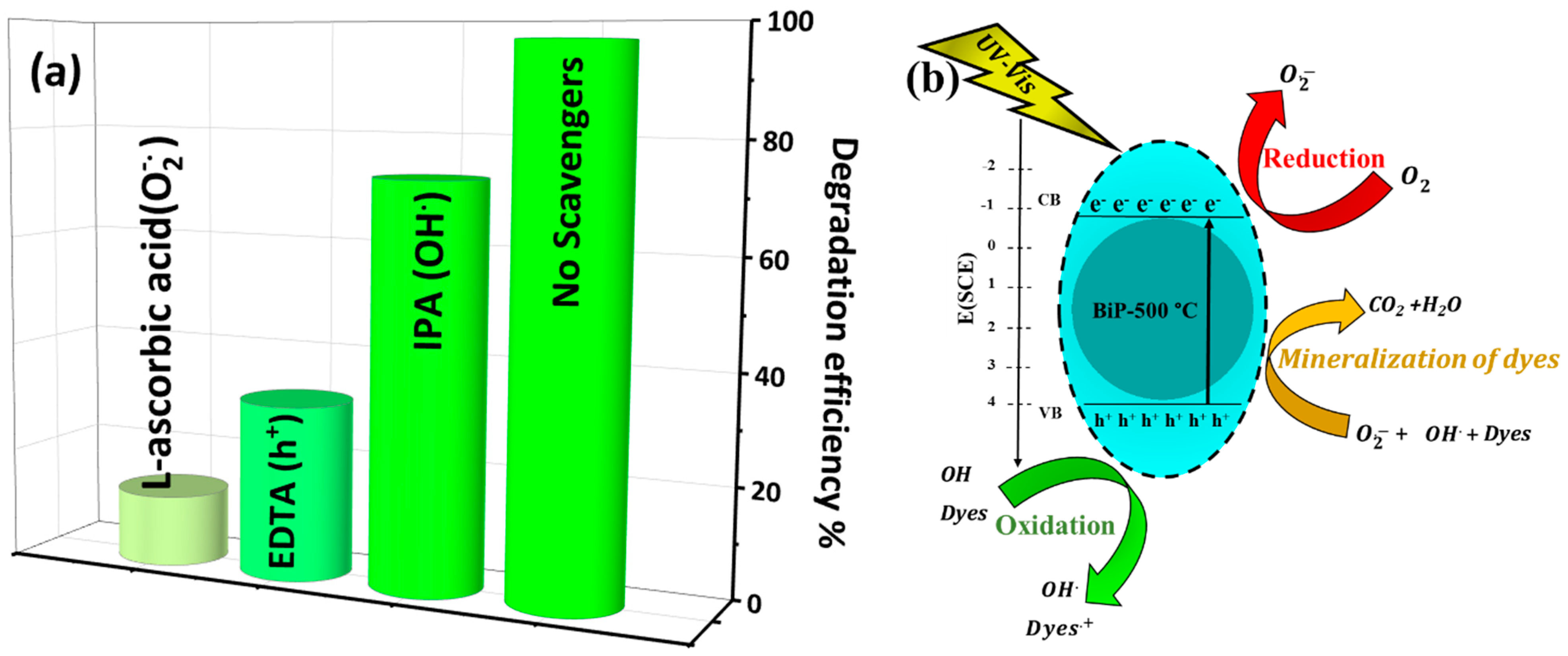 Catalysts 12 00691 g015