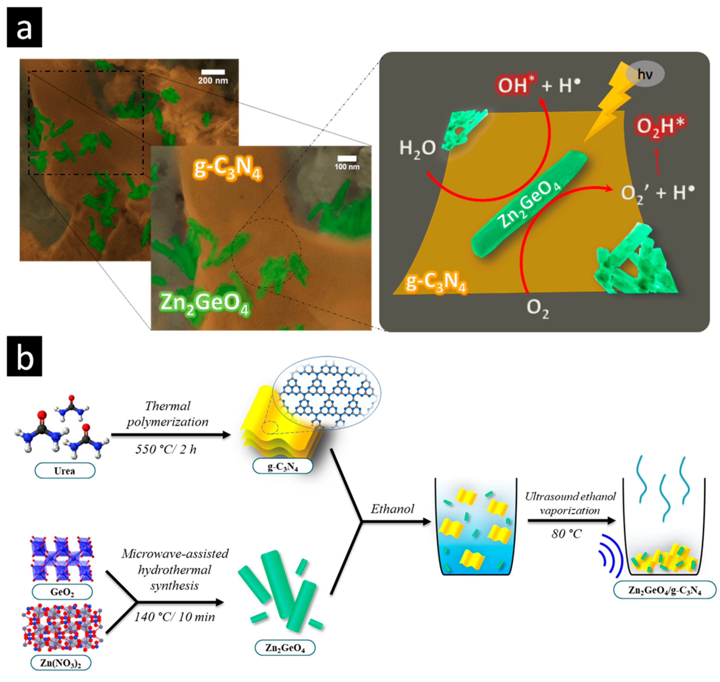 Catalysts 12 00692 g005