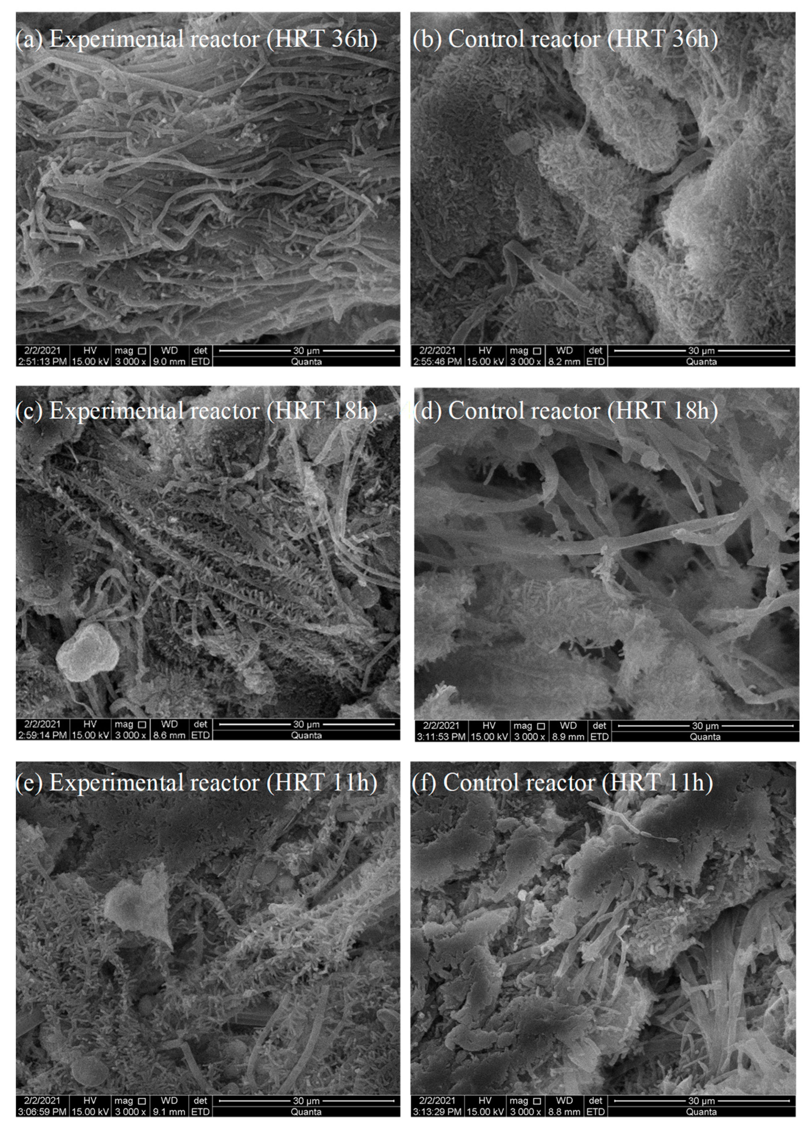 Catalysts 12 00693 g004