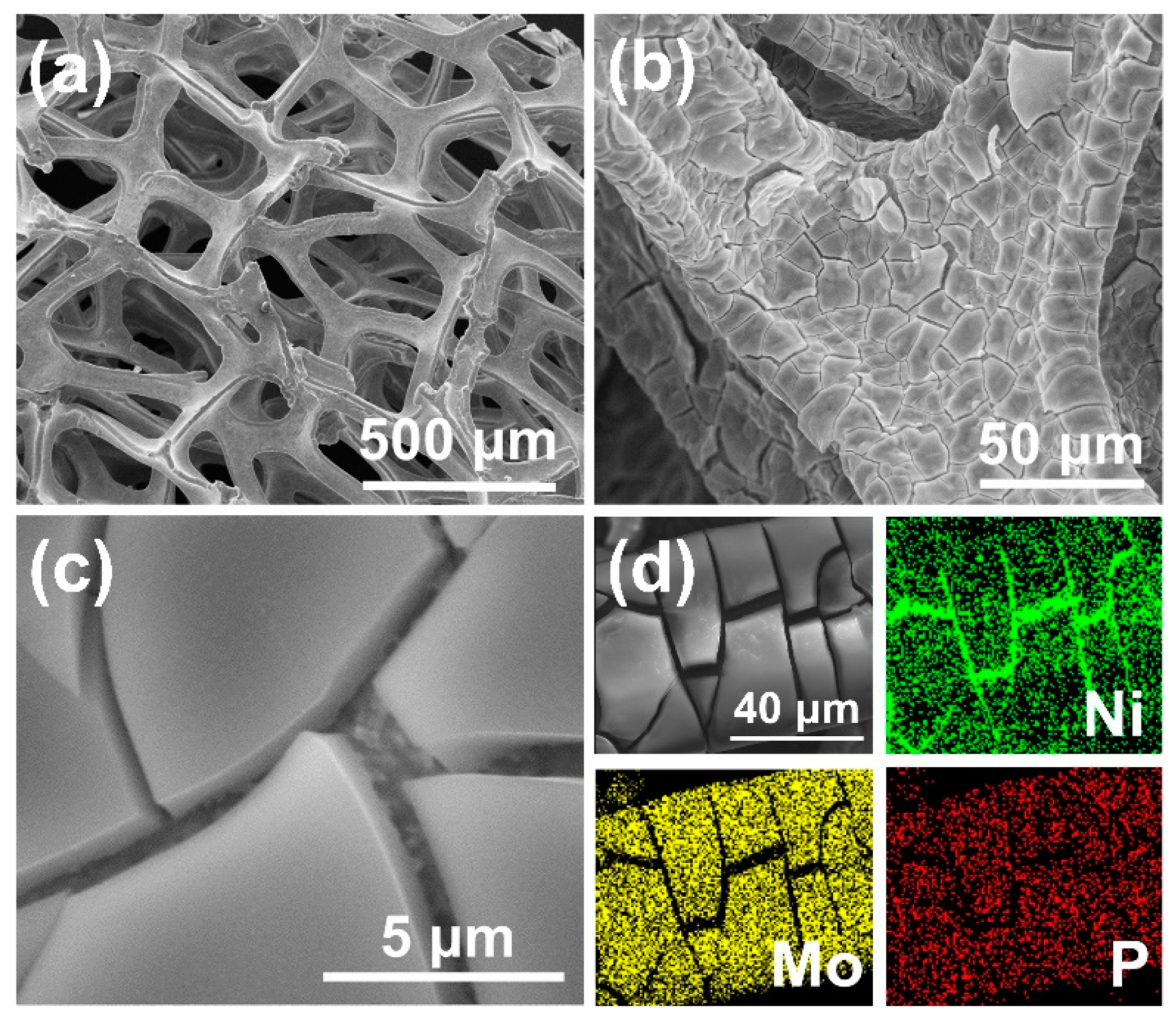 Catalysts 12 00694 g001 550