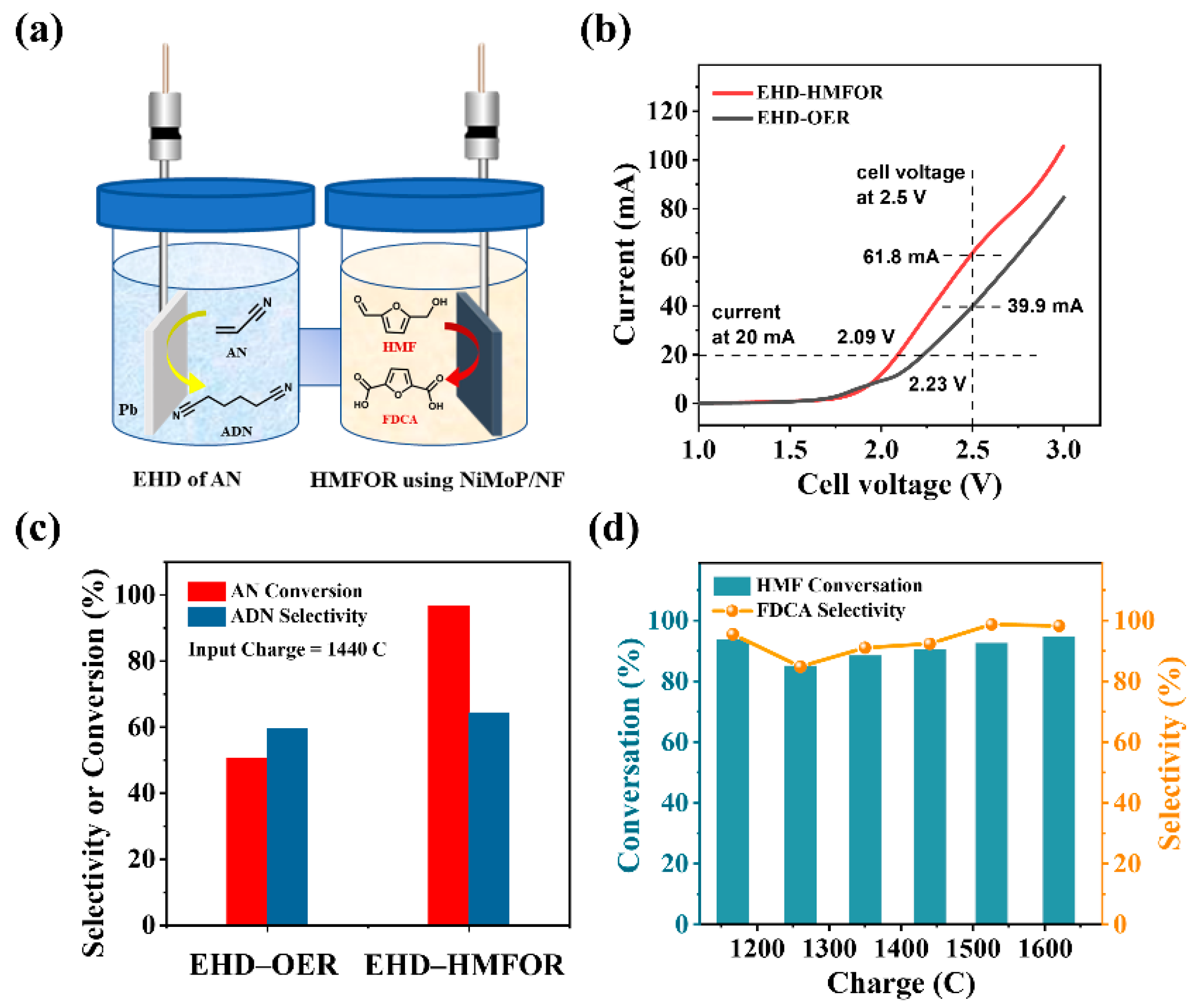 Catalysts 12 00694 g007 550