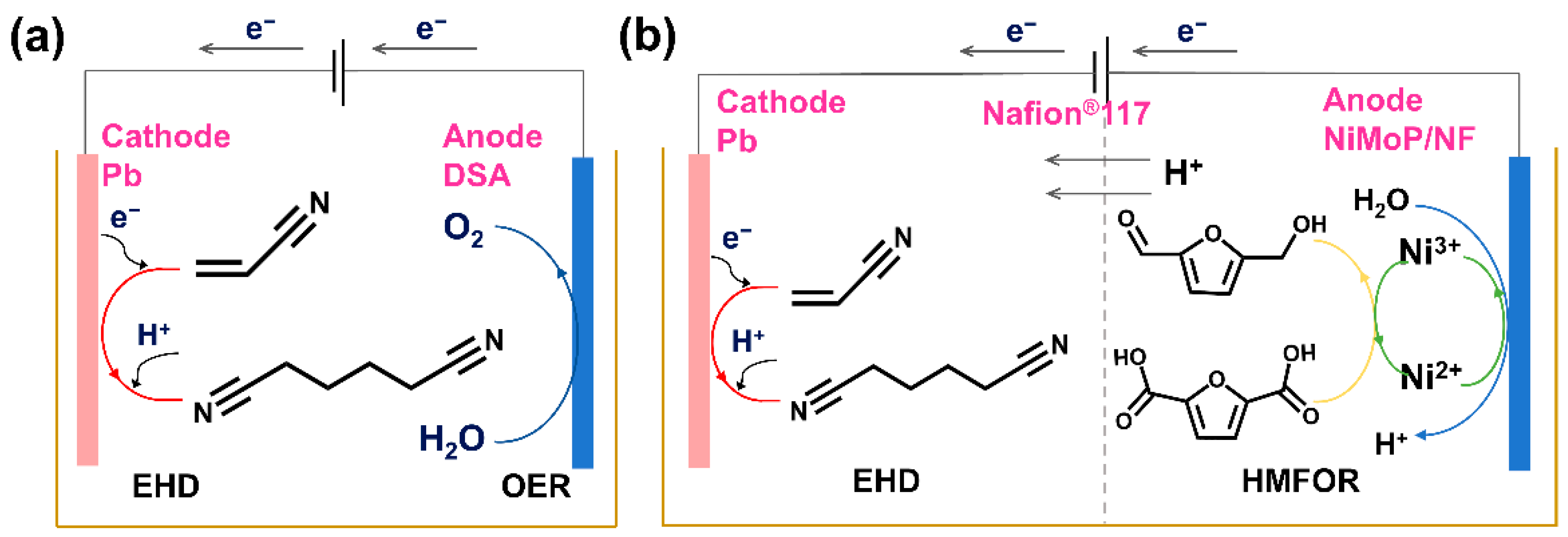 Catalysts 12 00694 sch001 550
