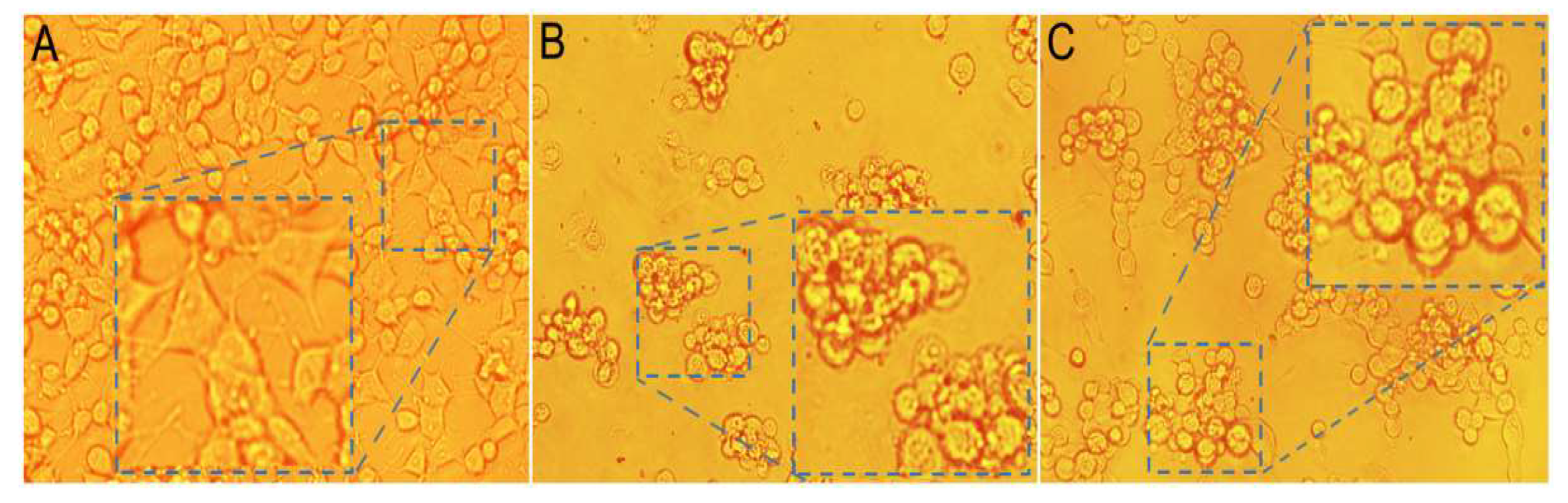 Catalysts 12 00695 g008