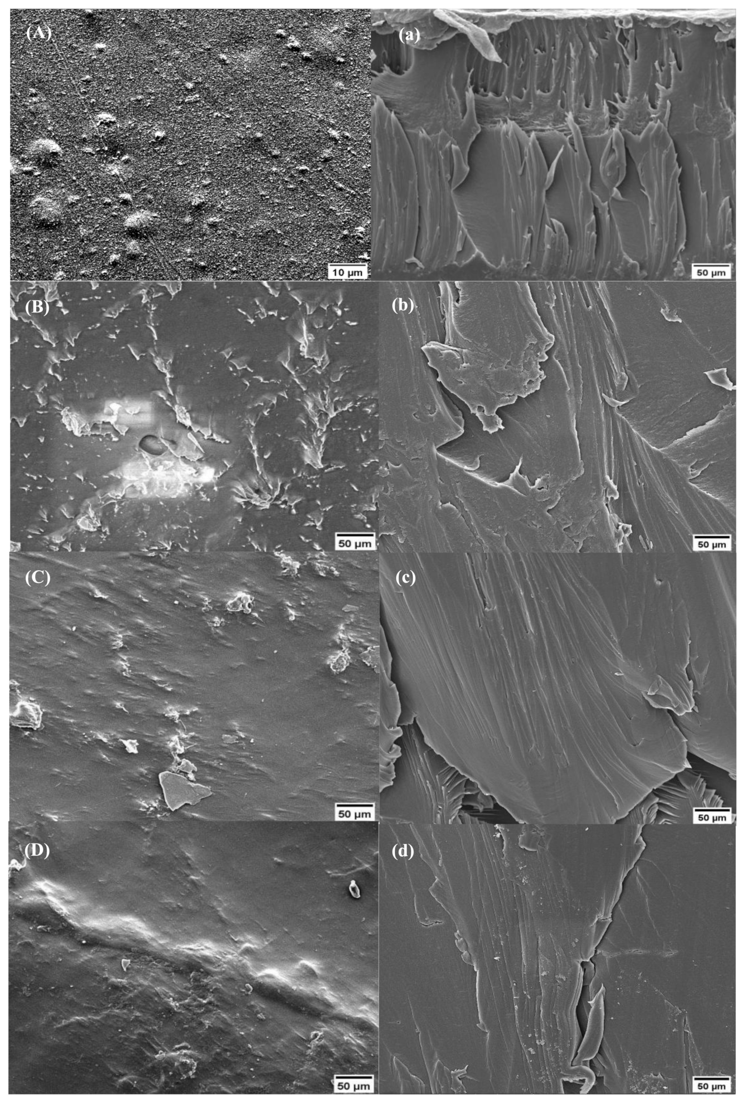 Catalysts 12 00707 g002