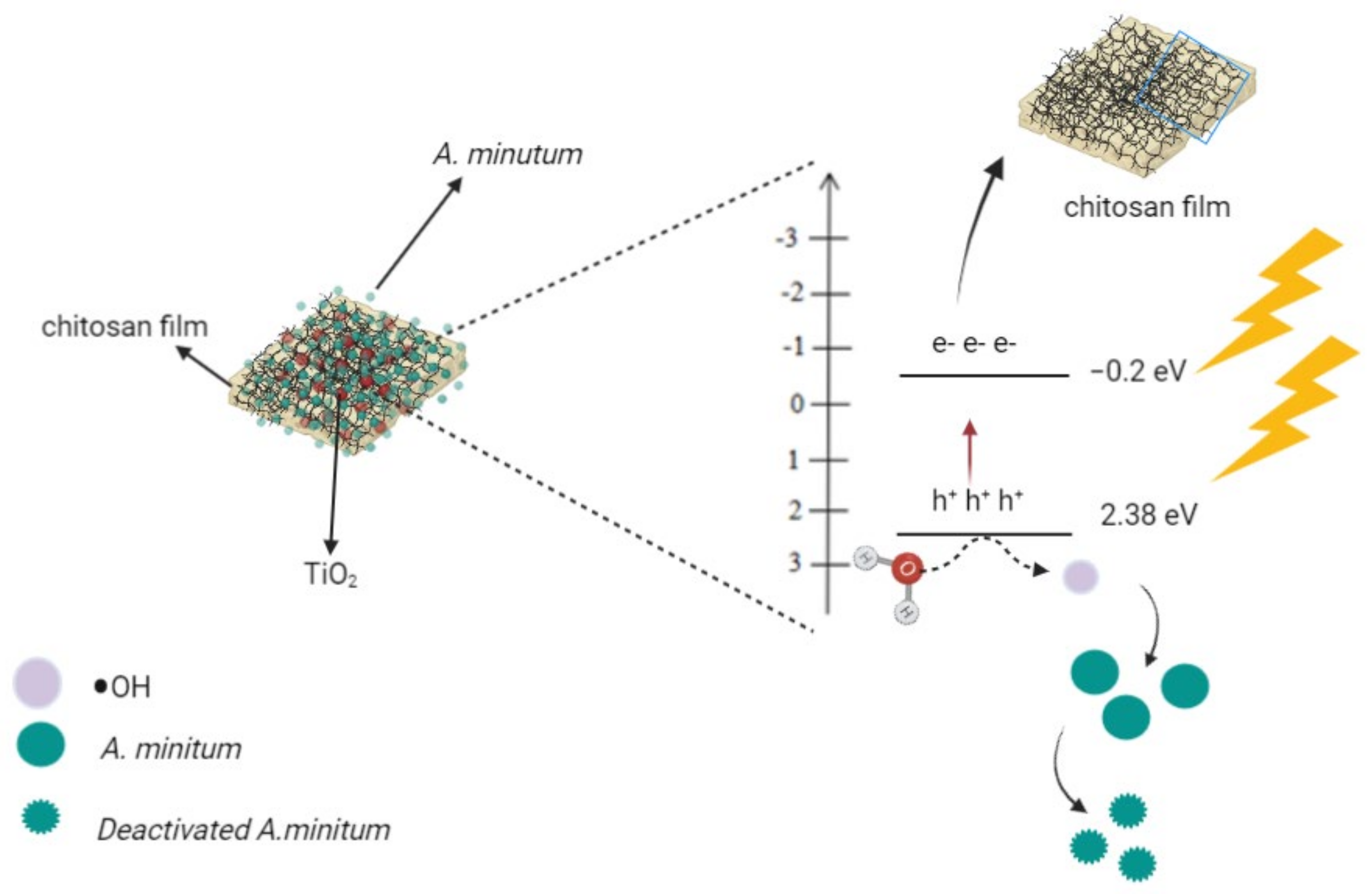 Catalysts 12 00707 g005