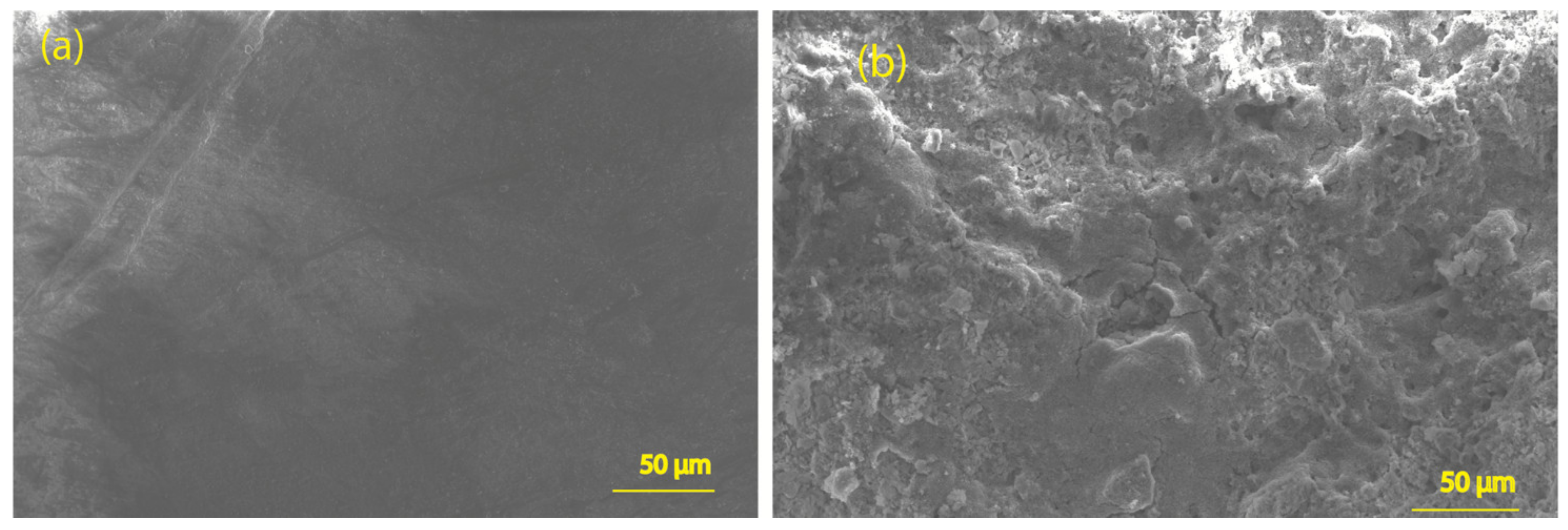 Catalysts 12 00708 g002 550