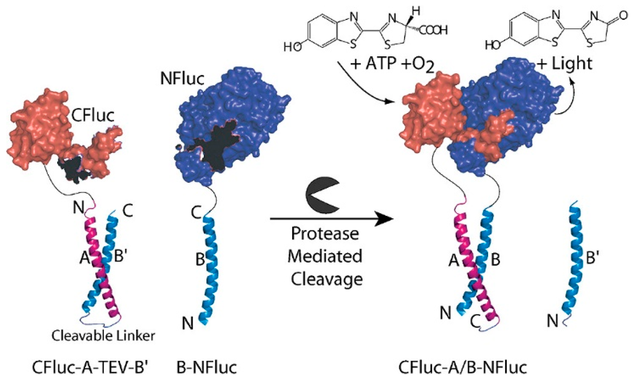 Catalysts 12 00712 g005 Catalysts 12 00712 g005