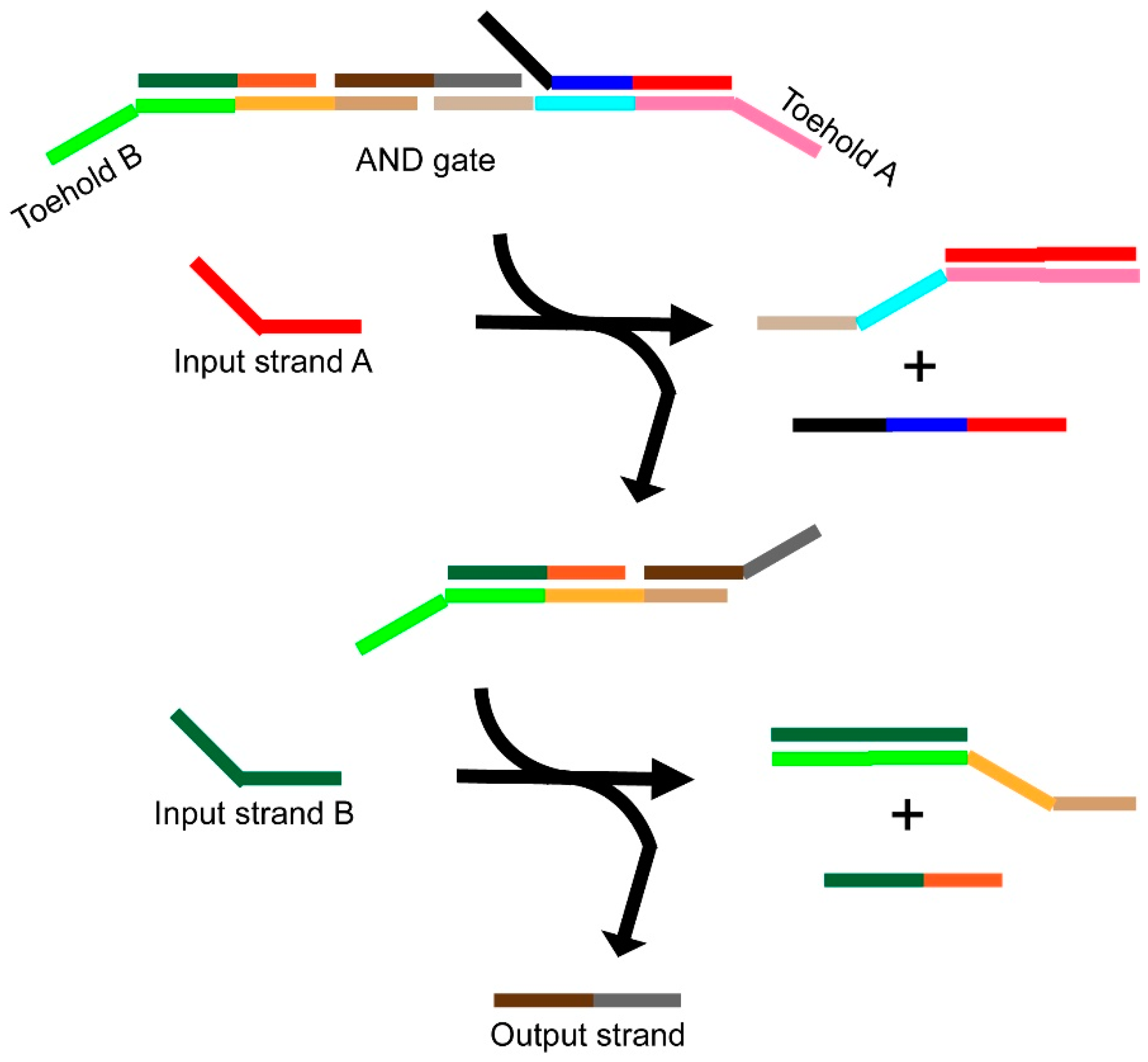Catalysts 12 00712 g006 Catalysts 12 00712 g006