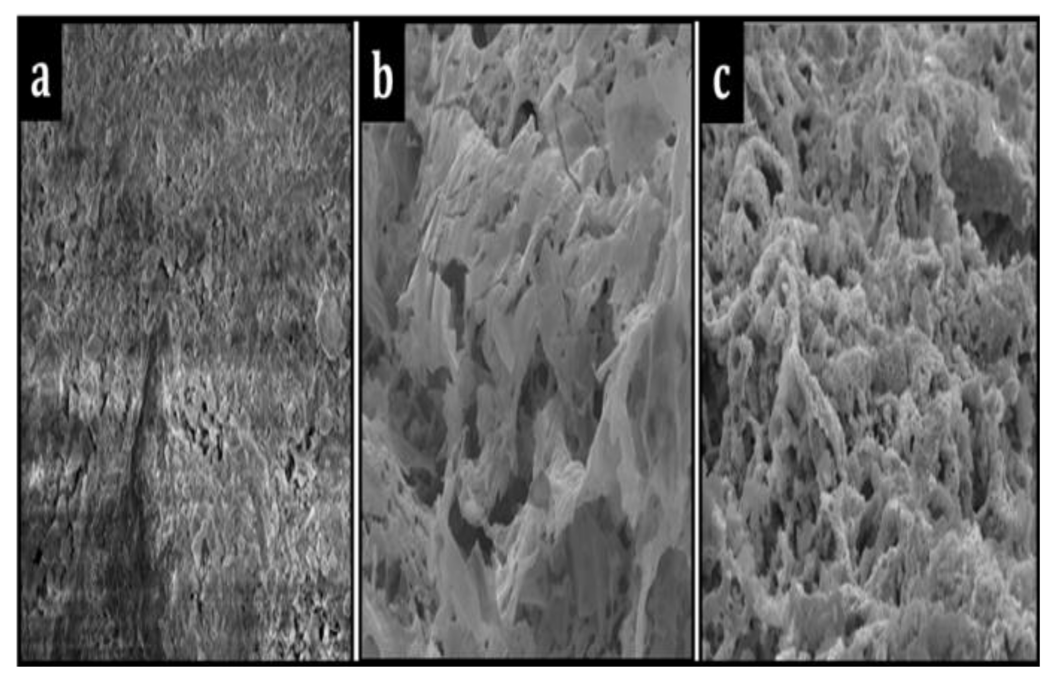 Catalysts 12 00715 g006 Catalysts 12 00715 g006