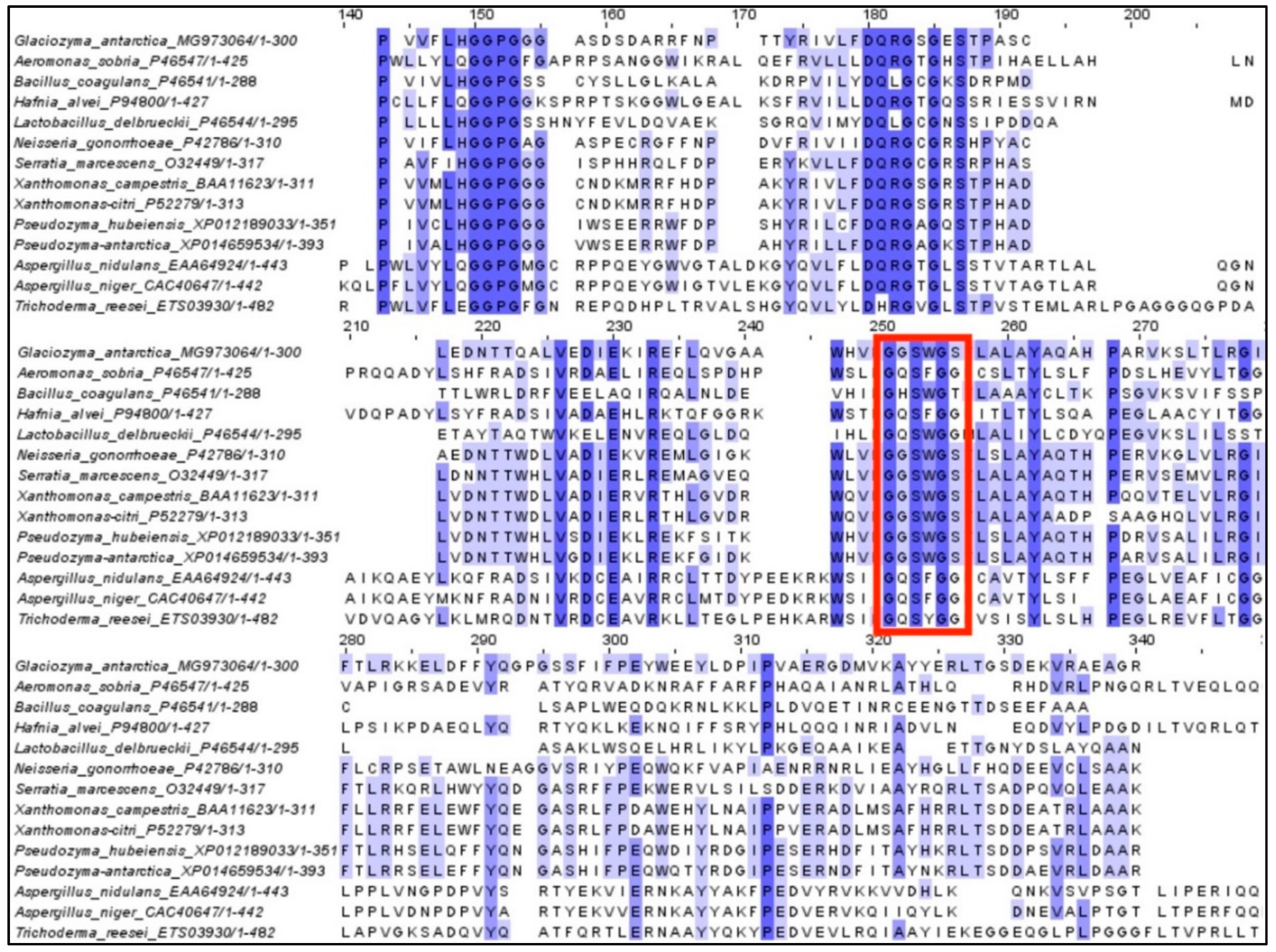 Catalysts 12 00722 g001