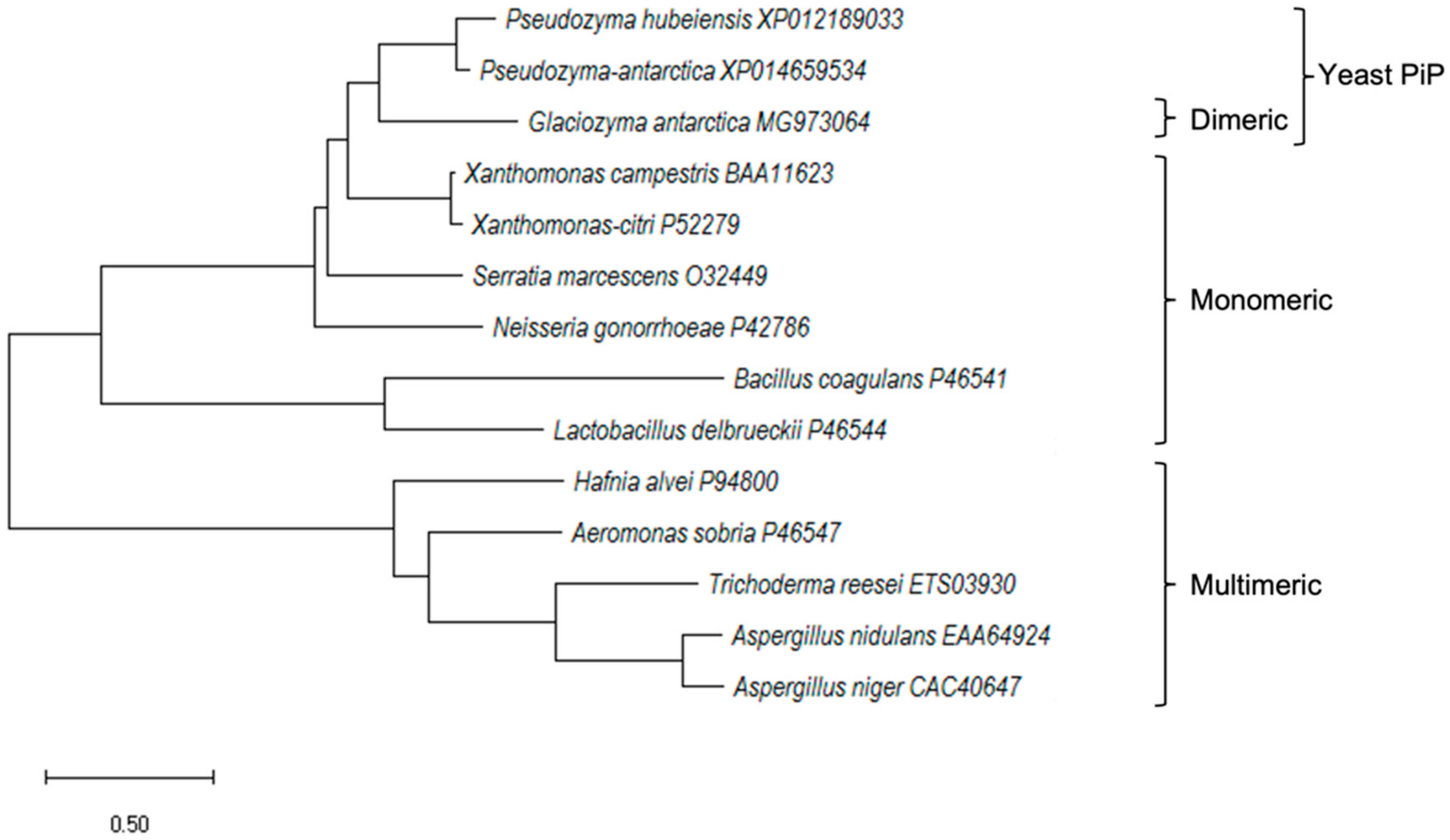 Catalysts 12 00722 g002