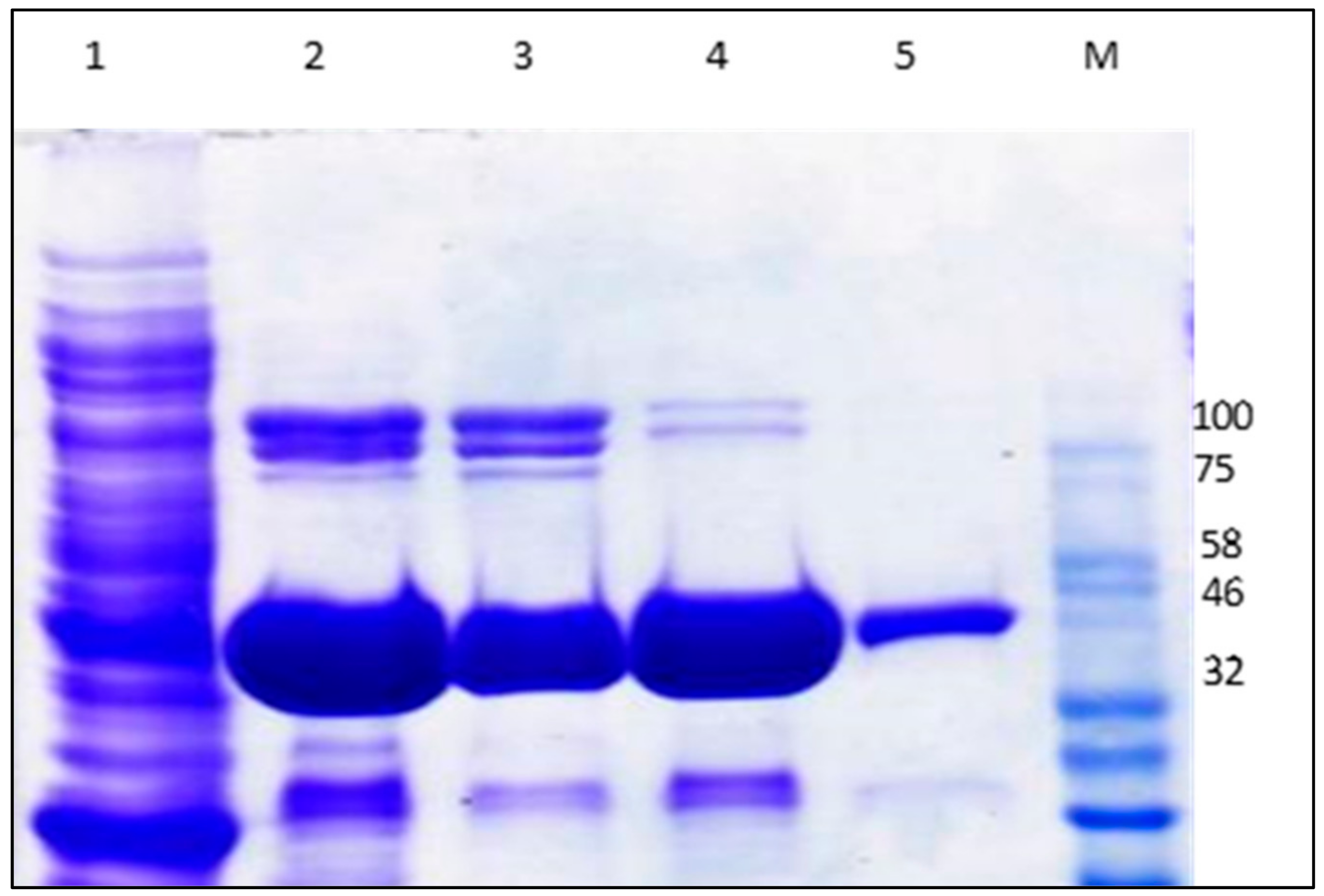 Catalysts 12 00722 g003