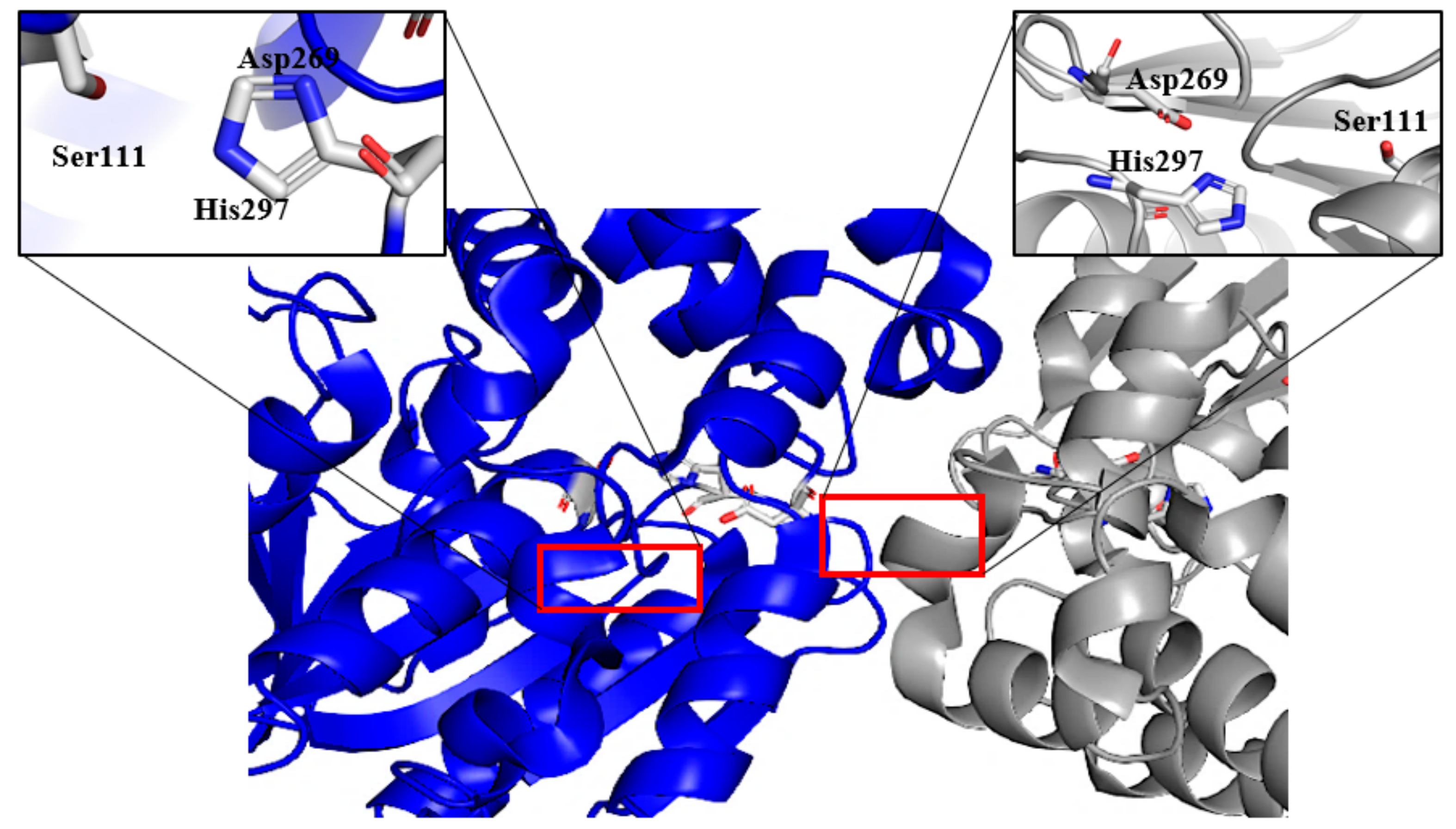 Catalysts 12 00722 g007