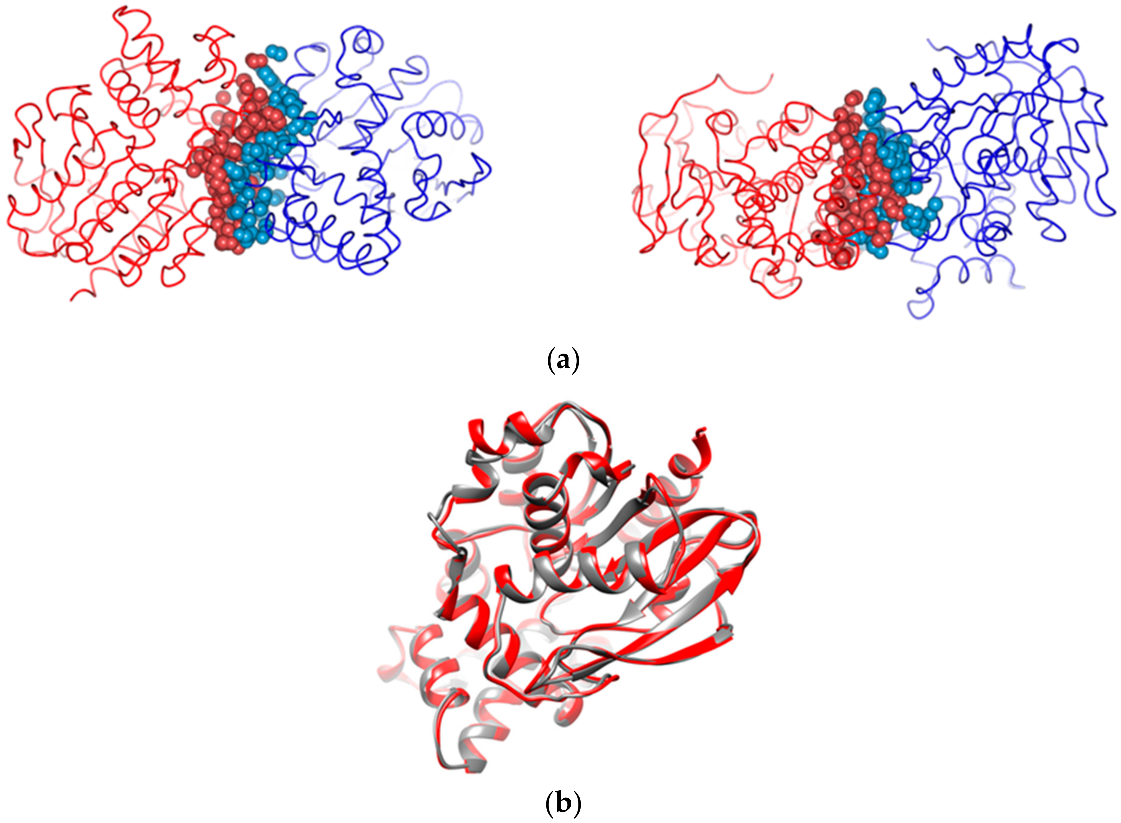 Catalysts 12 00722 g008