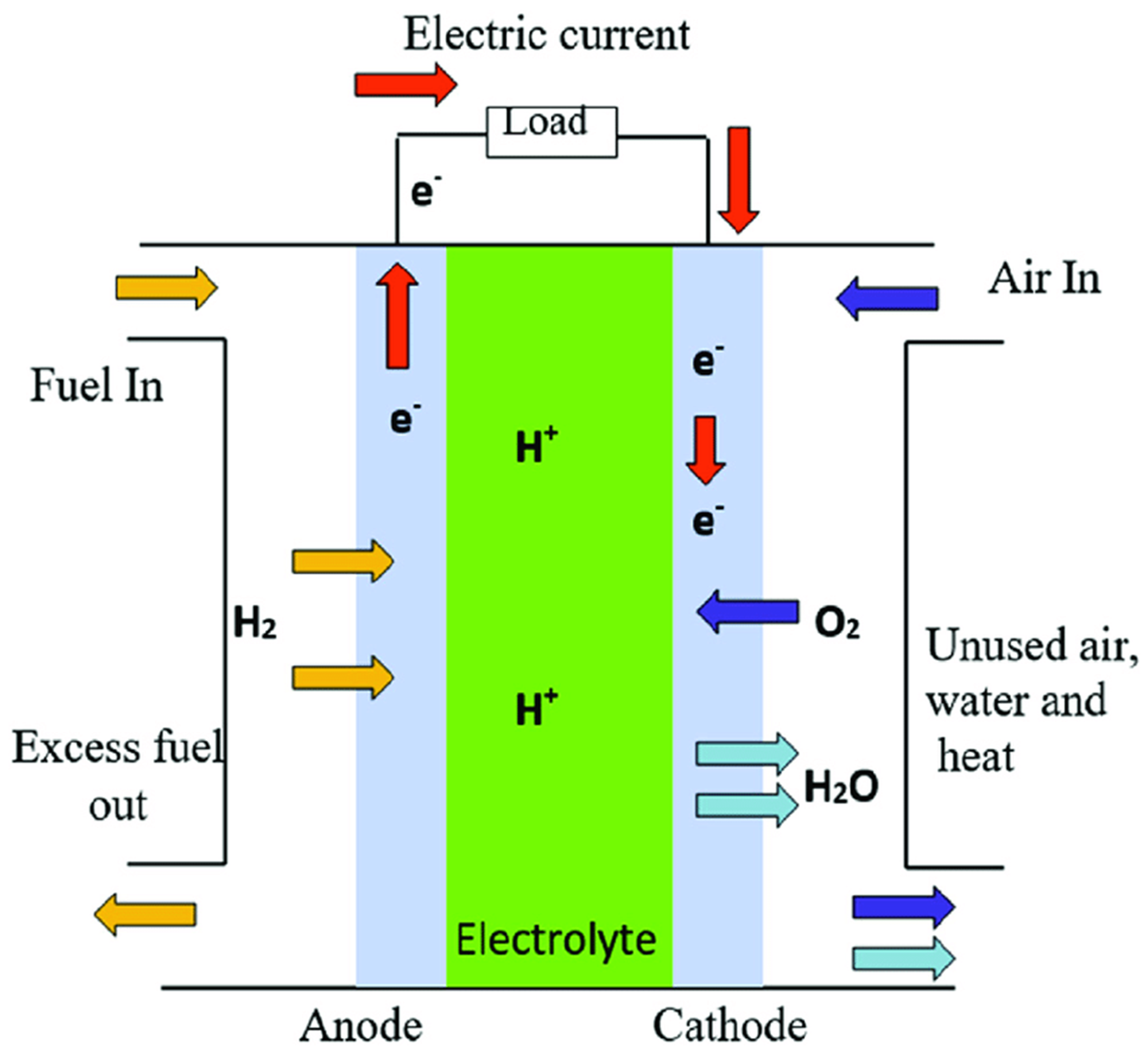 Catalysts 12 00743 g002 550