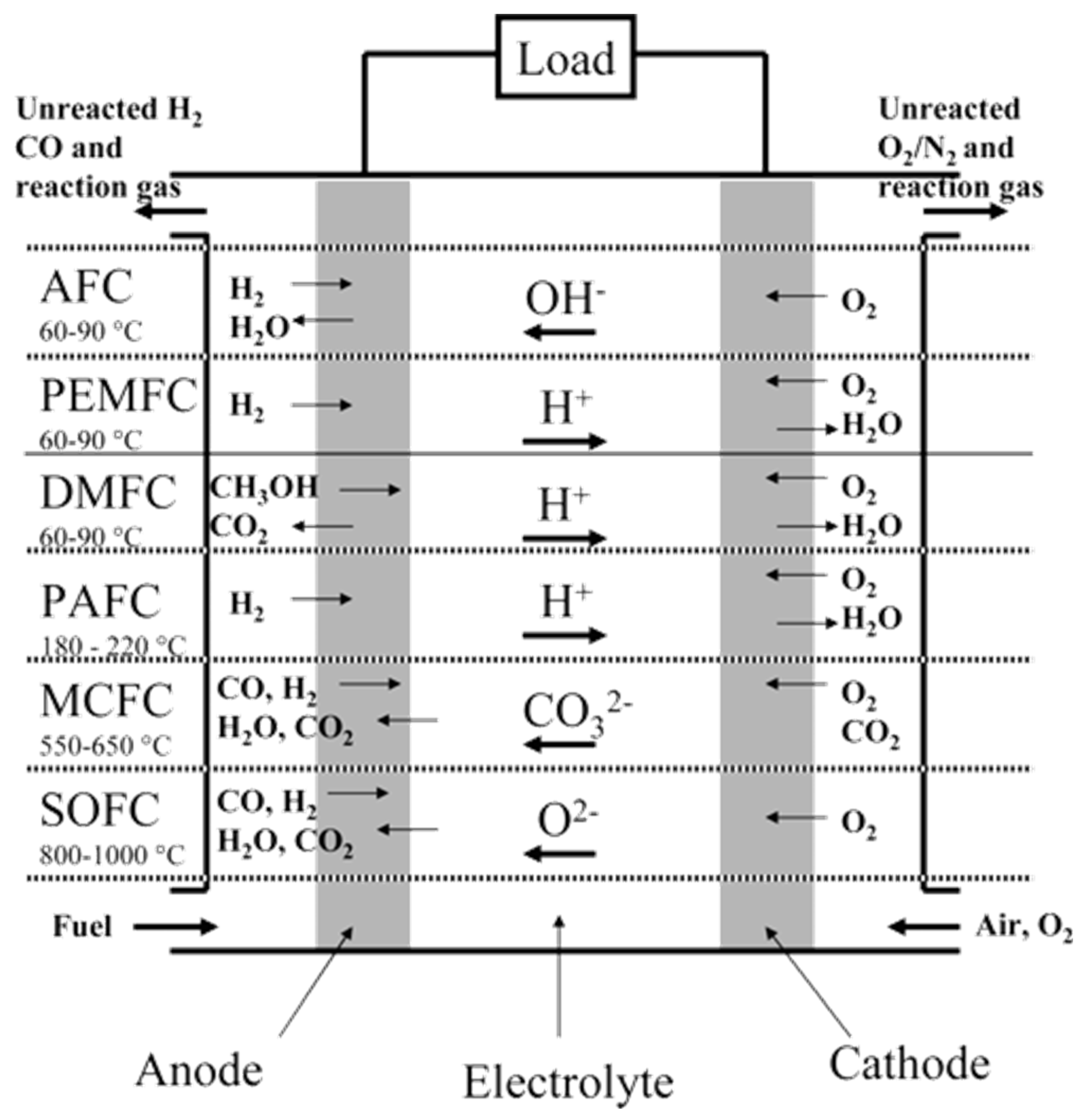 Catalysts 12 00743 g003 550